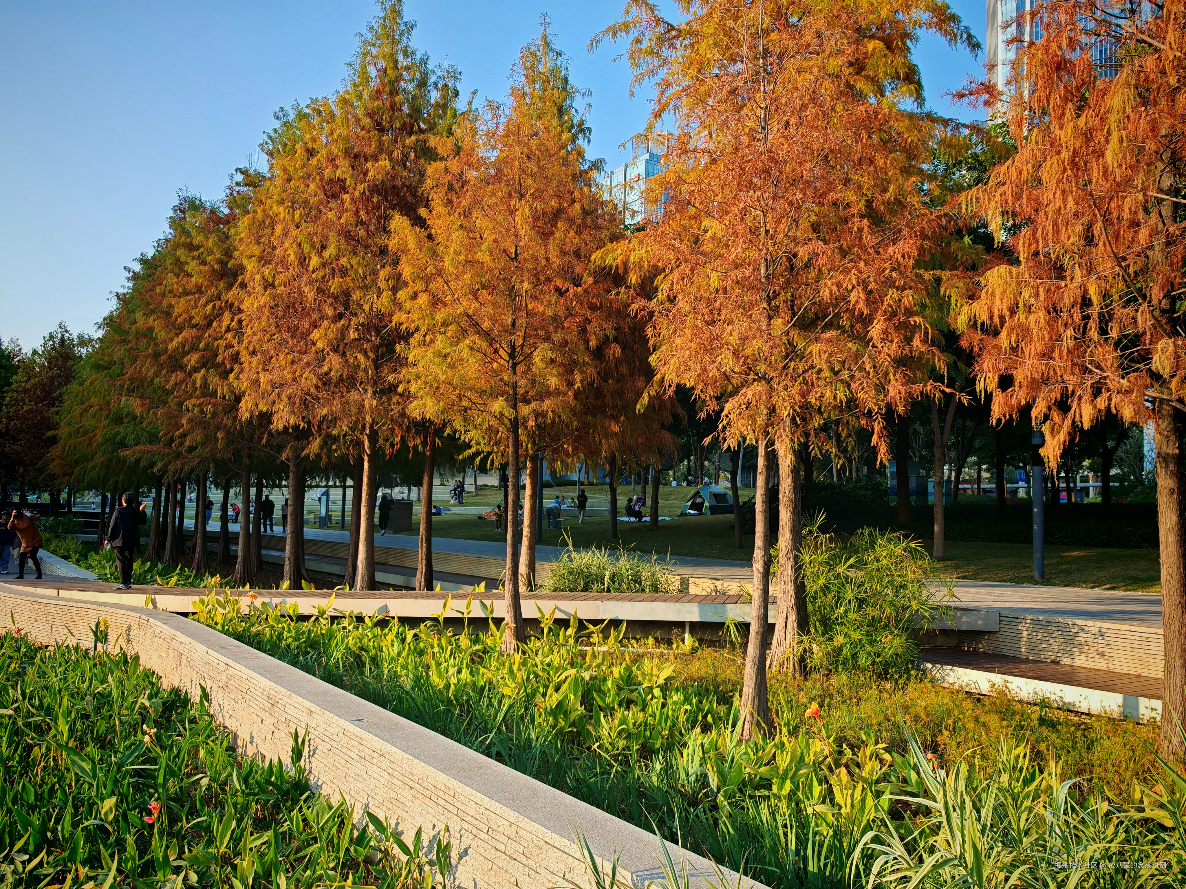 戒八是的念来过倒于2026-01-18 19:26发布的图片