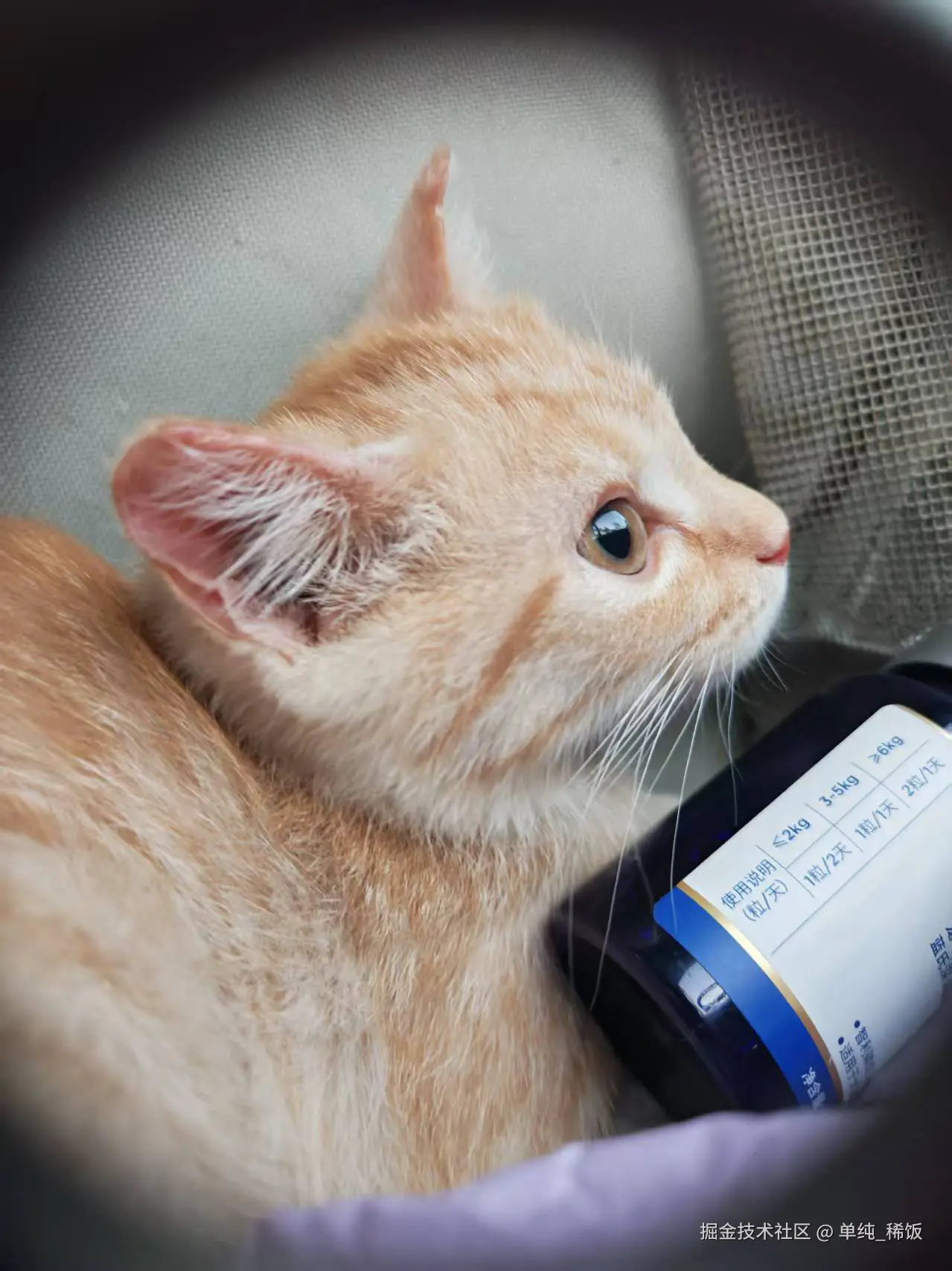 单纯_稀饭于2025-04-15 18:23发布的图片