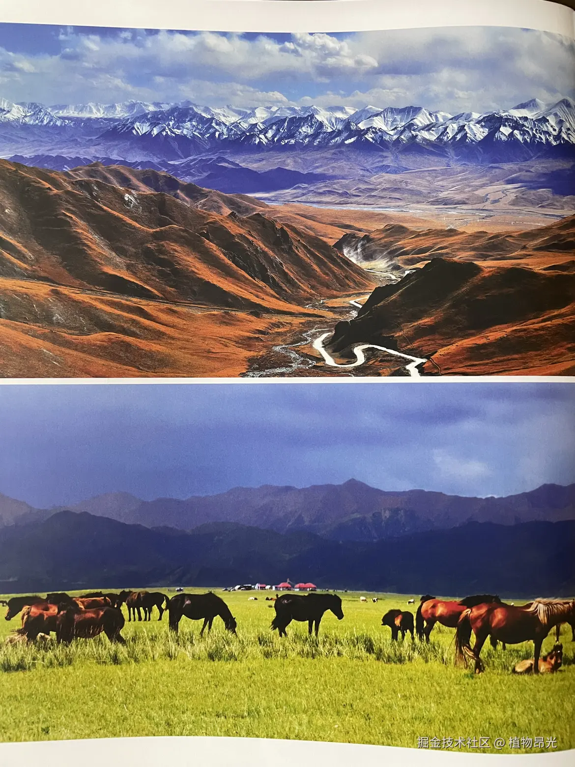 植物昂光于2026-03-25 20:30发布的图片