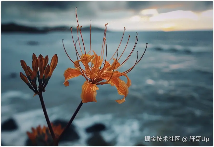 大模型项目学习