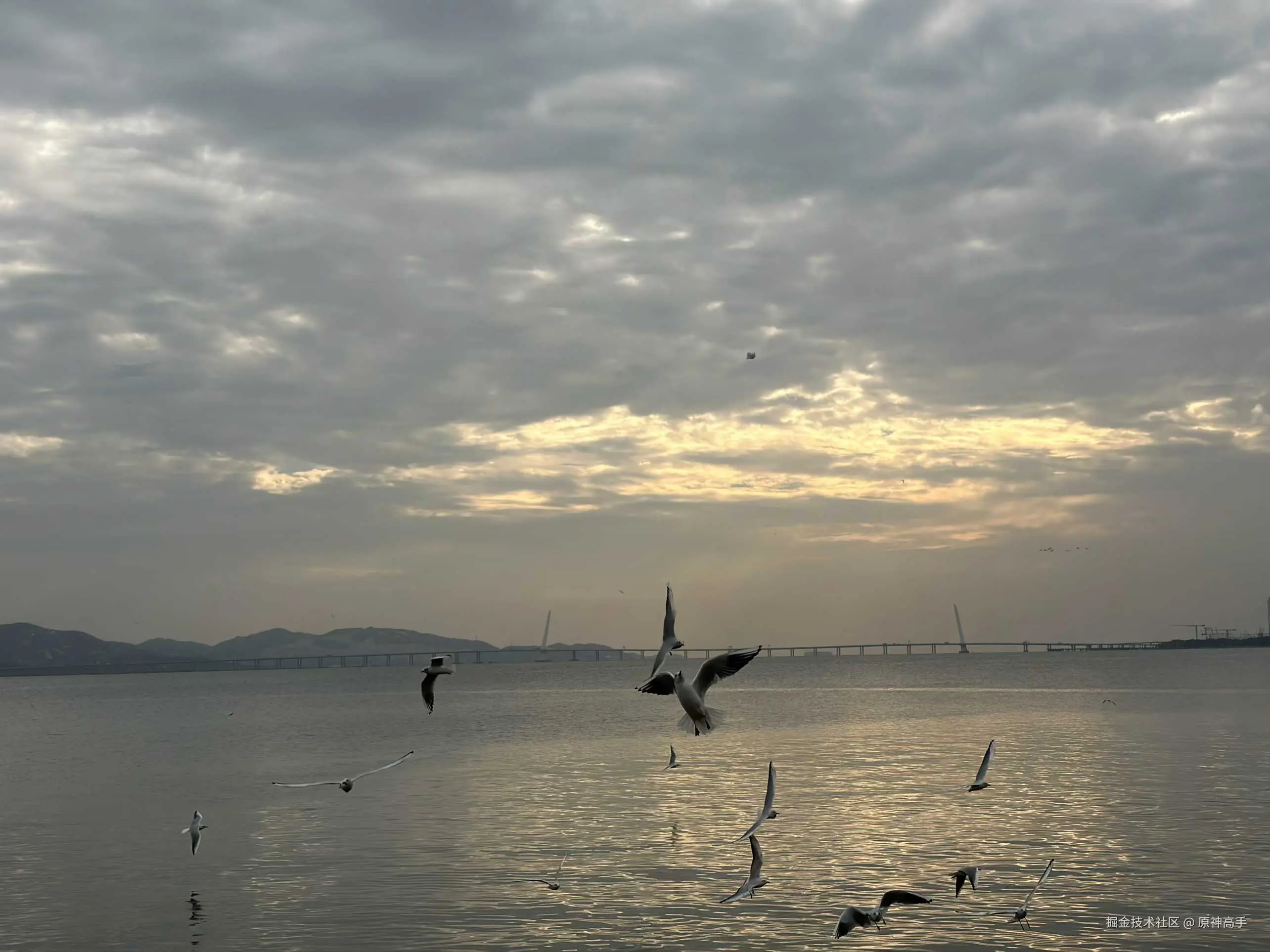 原神高手于2025-12-15 14:55发布的图片