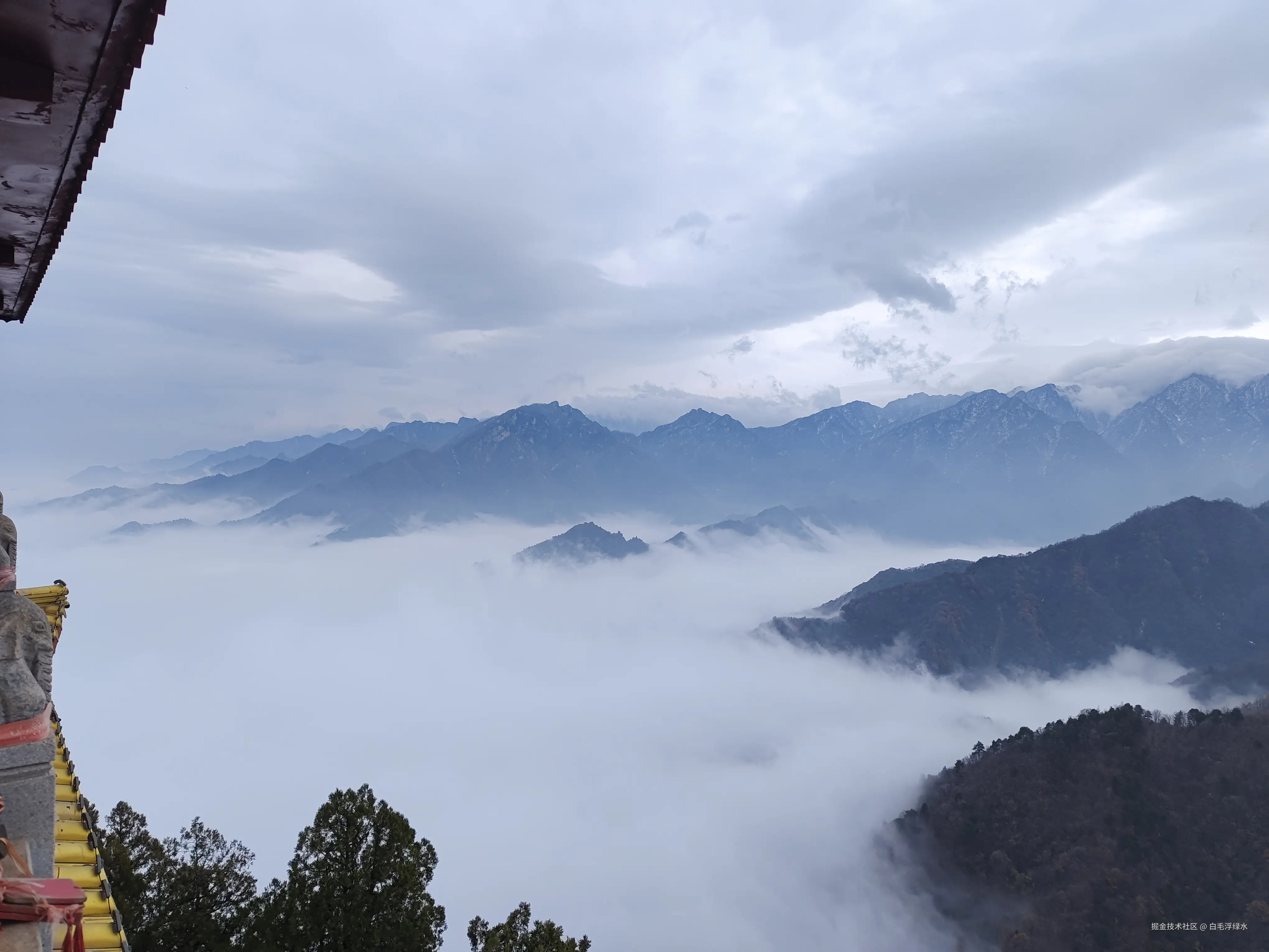 白毛浮绿水于2024-11-25 11:13发布的图片