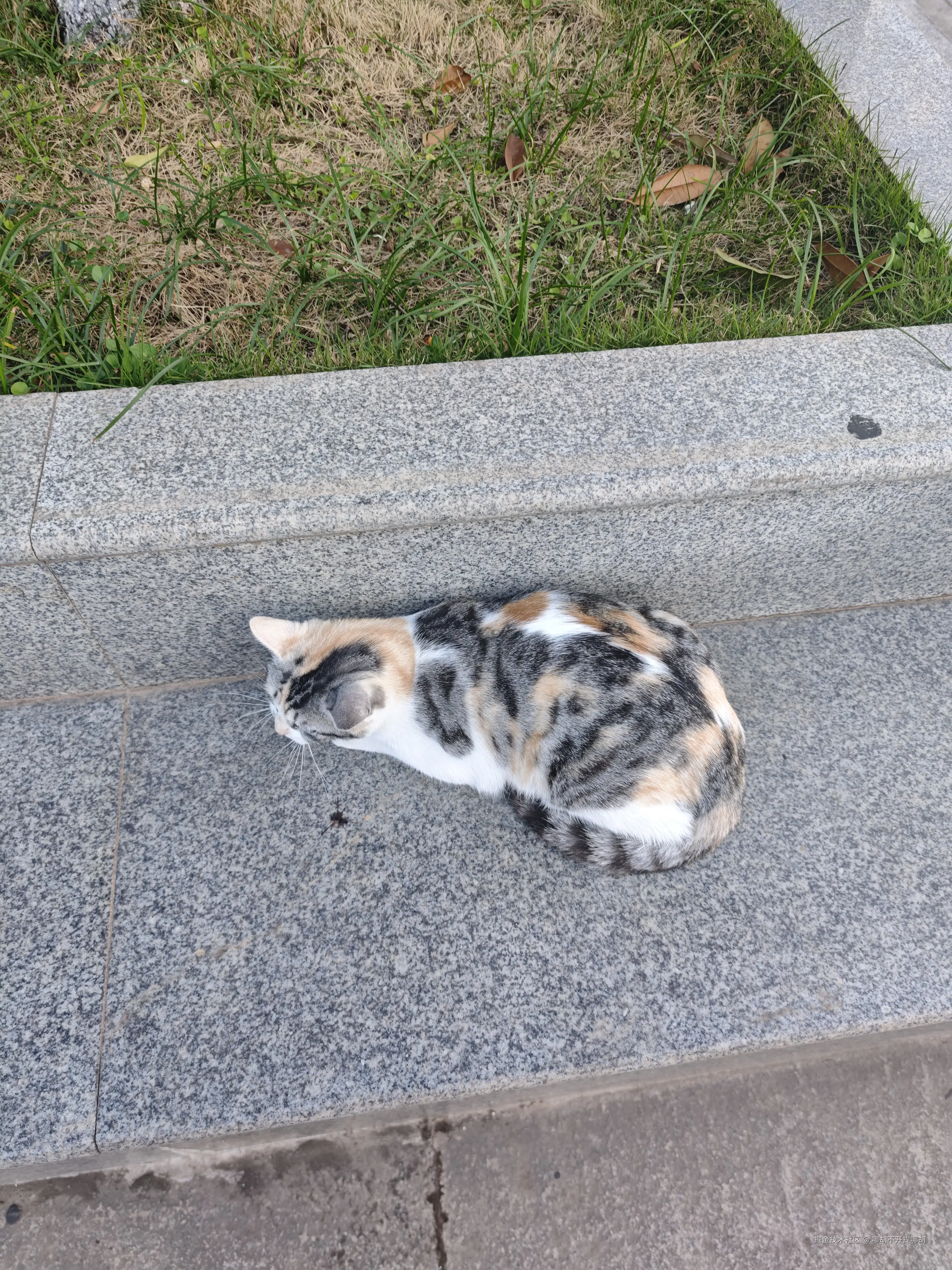 哪胡不开提哪胡于2025-04-29 08:30发布的图片