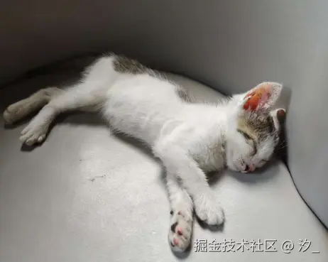 汐_于2025-06-27 12:05发布的图片