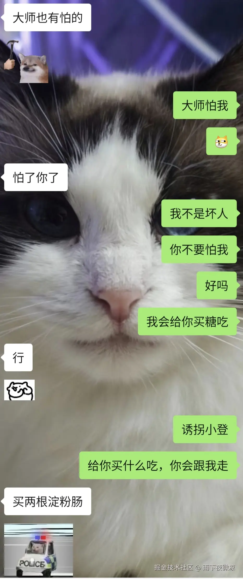 雨下夜微凉于2026-04-01 08:45发布的图片