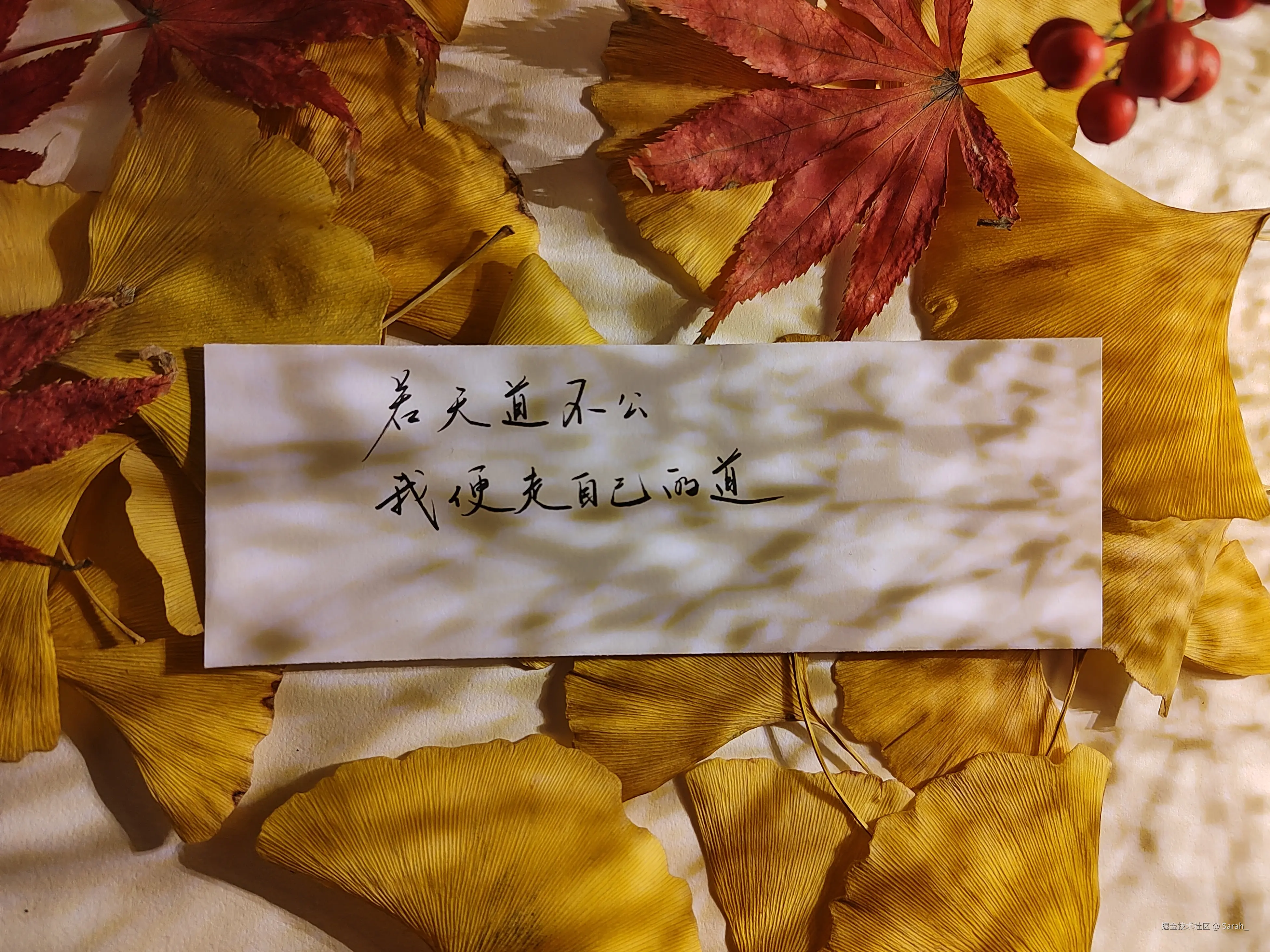 Sarah_于2024-12-25 08:13发布的图片