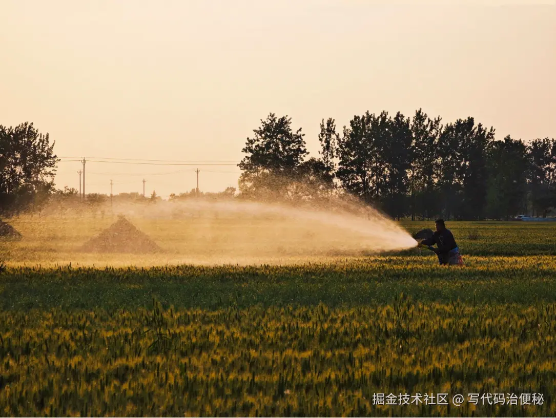 写代码治便秘于2025-05-07 10:57发布的图片