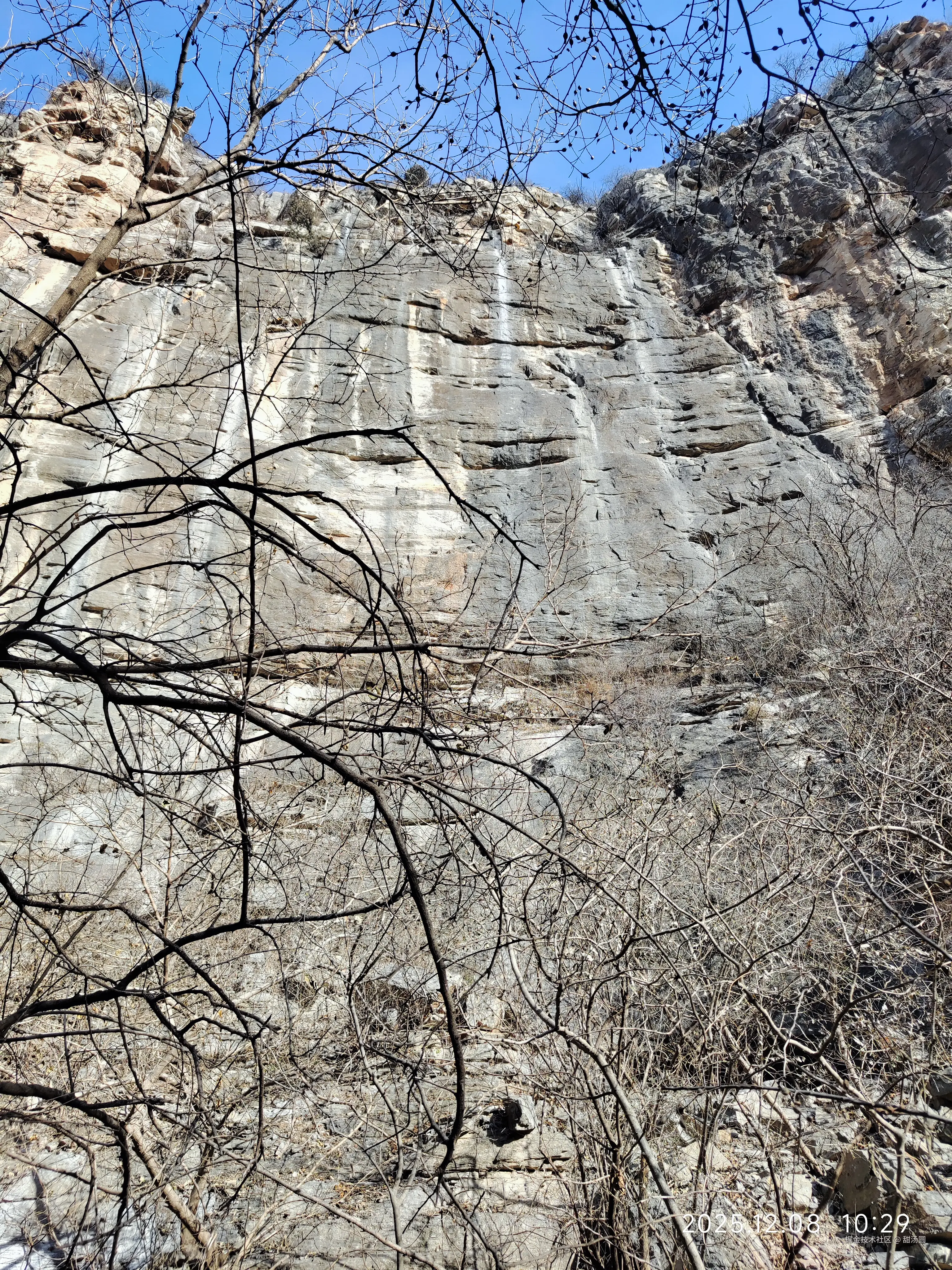 甜汤圆于2025-12-08 12:09发布的图片