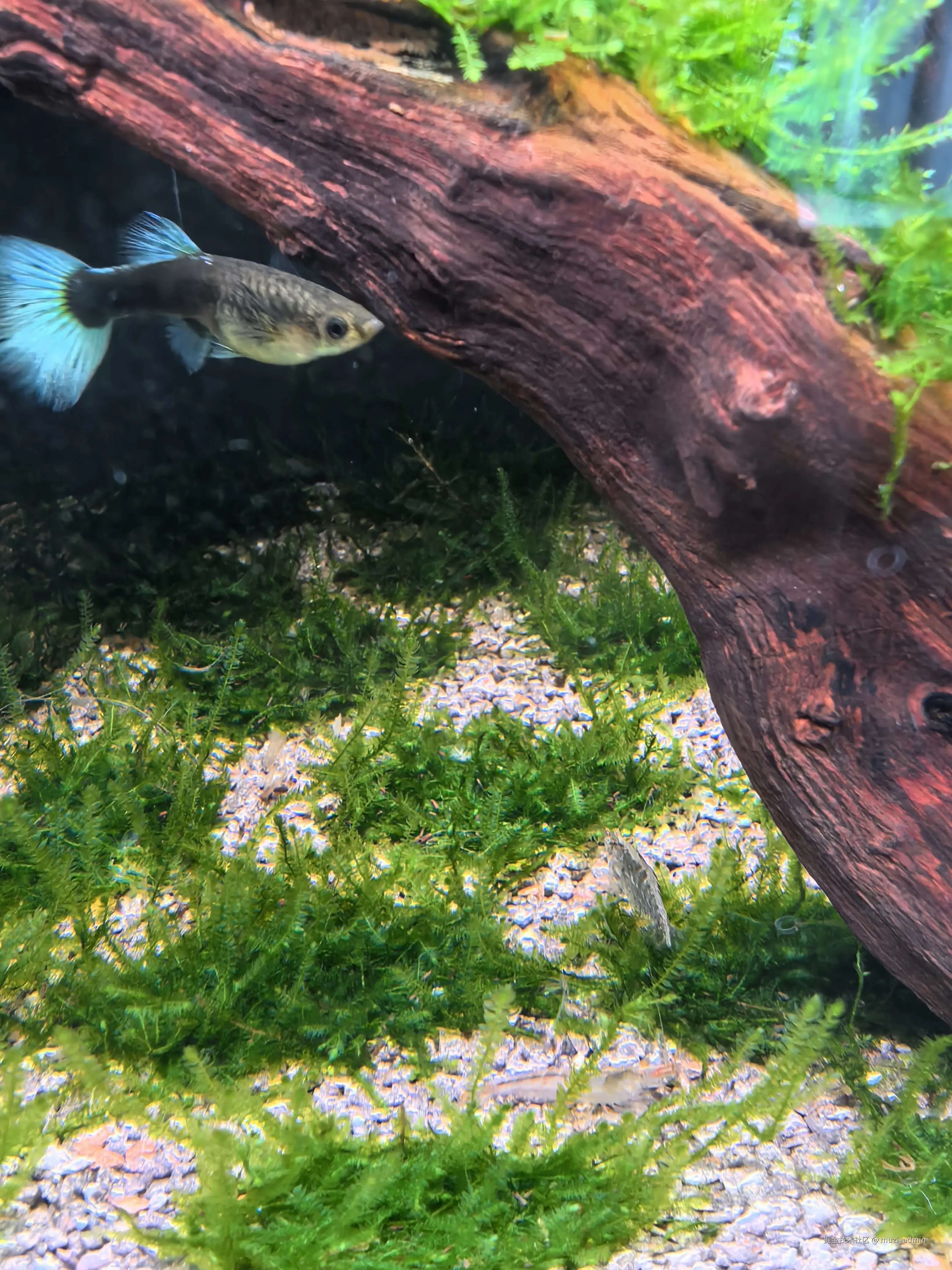 muzi_admin于2026-04-18 15:15发布的图片