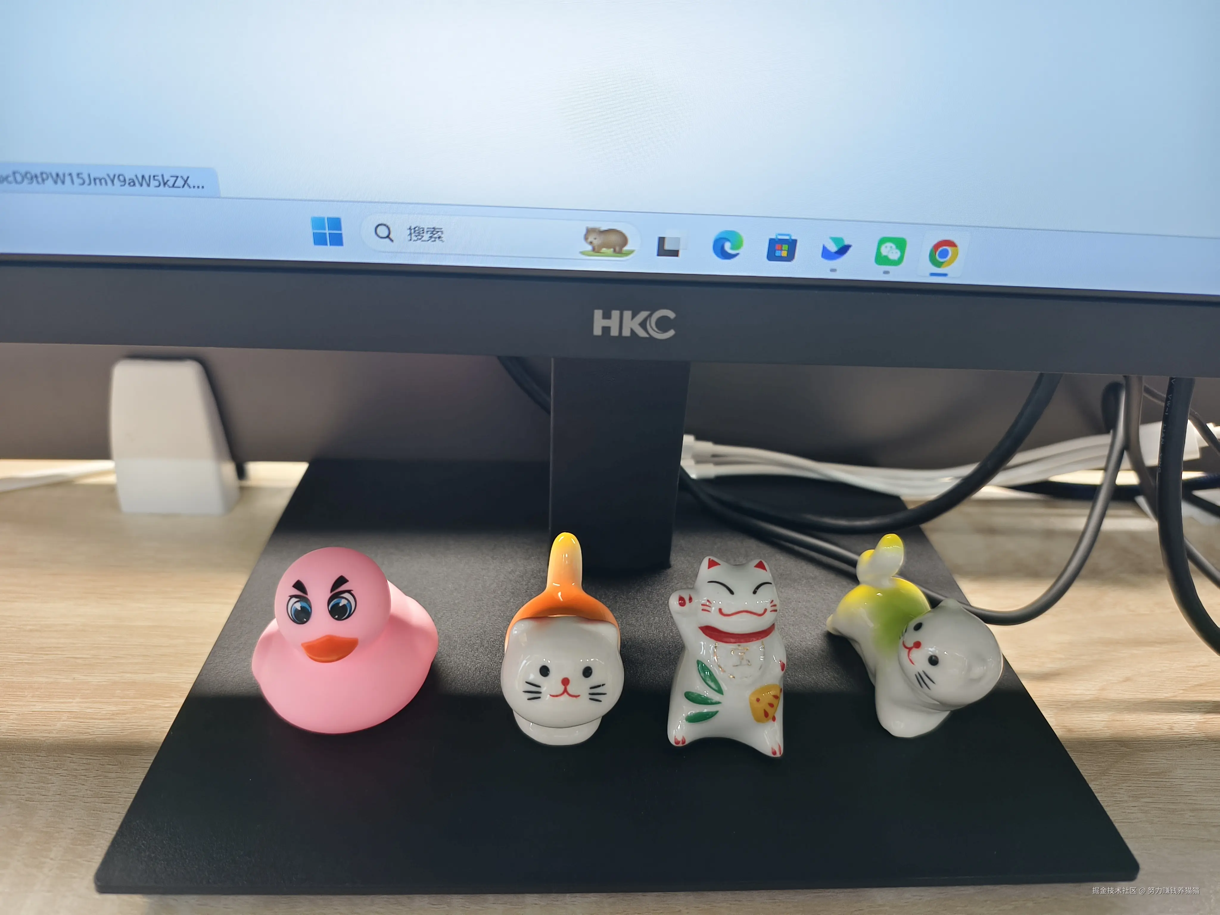 努力赚钱养猫猫于2025-10-22 09:31发布的图片