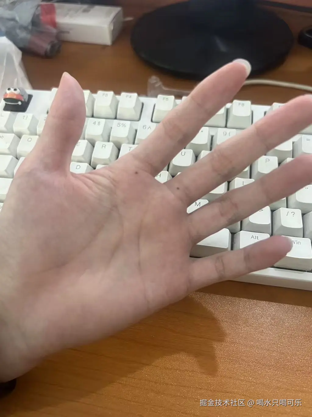 喝水只喝可乐于2025-10-15 14:51发布的图片