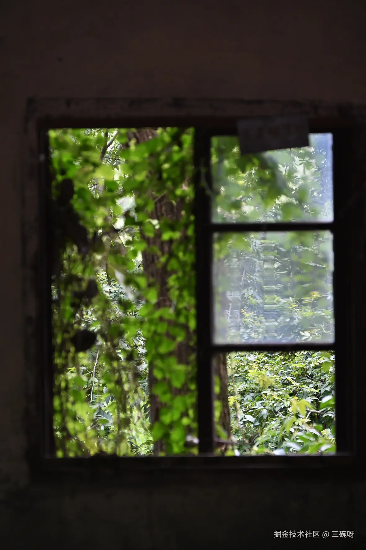 三碗呀于2025-07-28 10:00发布的图片