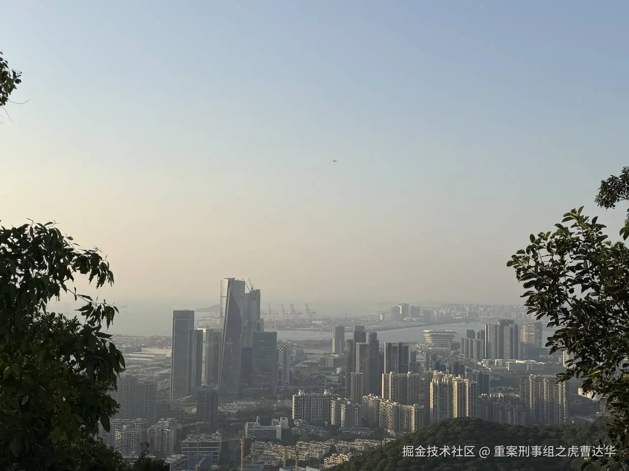 重案刑事组之虎曹达华于2025-12-09 10:01发布的图片