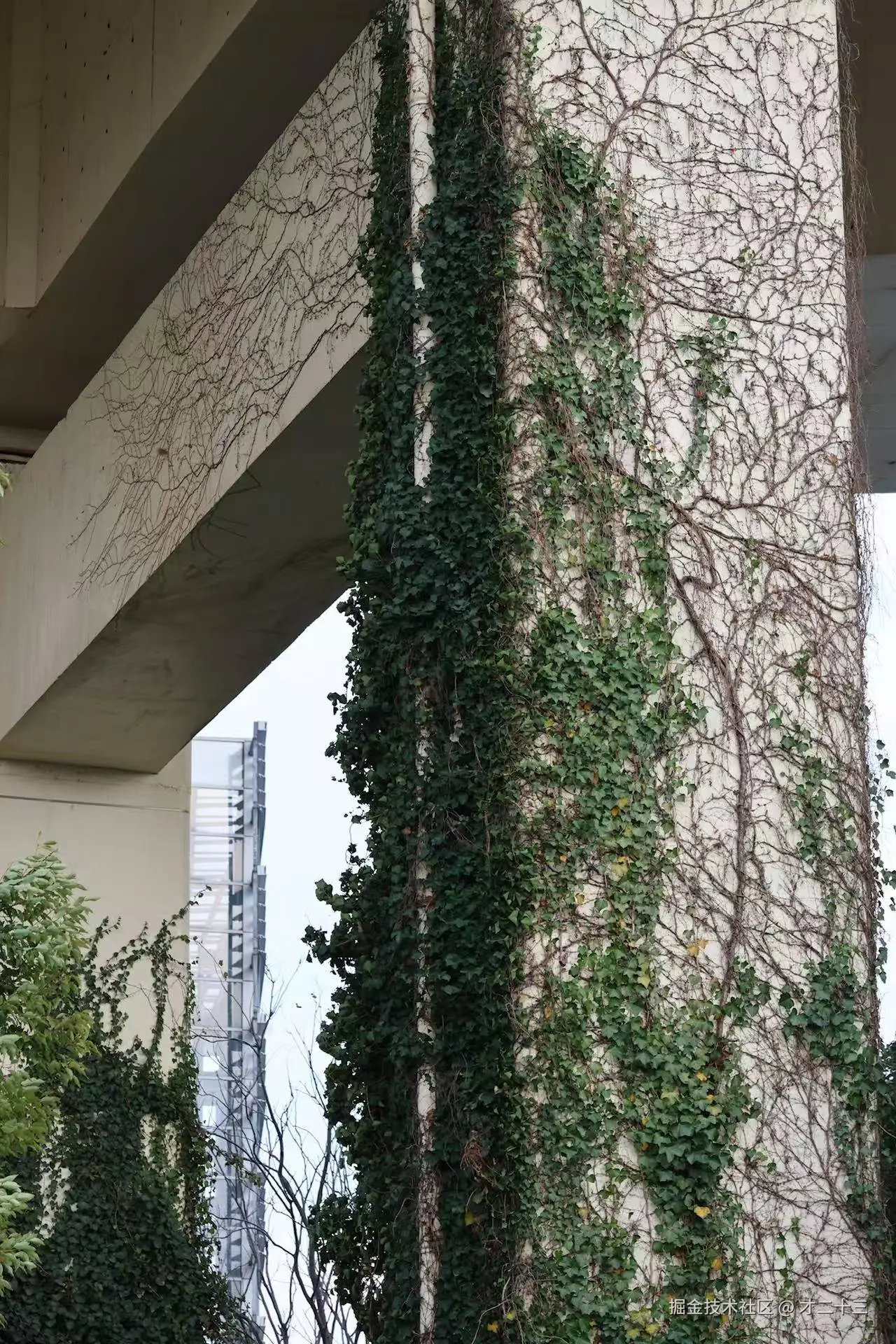 才二十三于2025-03-18 09:42发布的图片