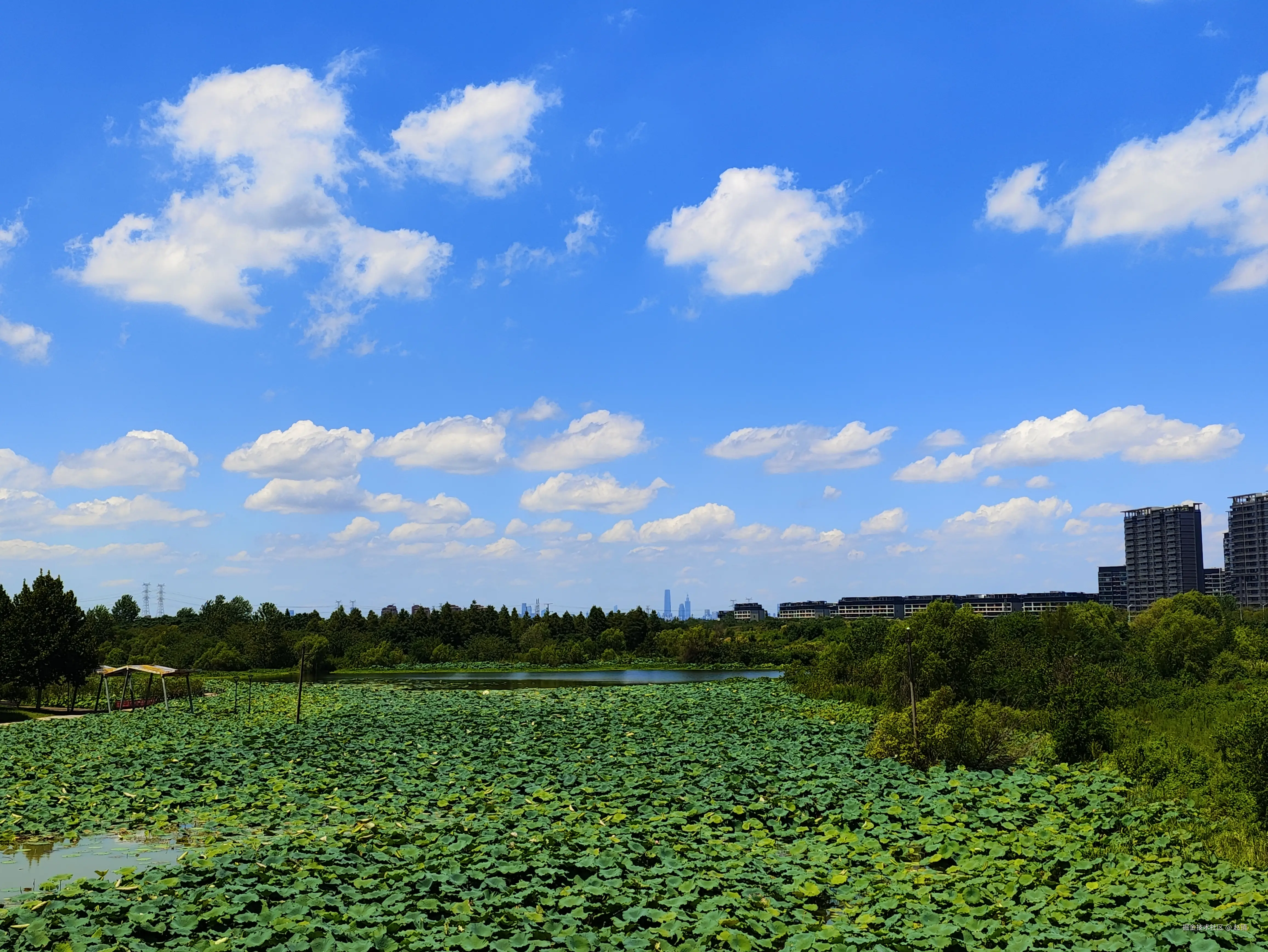 赵镇于2025-08-25 14:50发布的图片