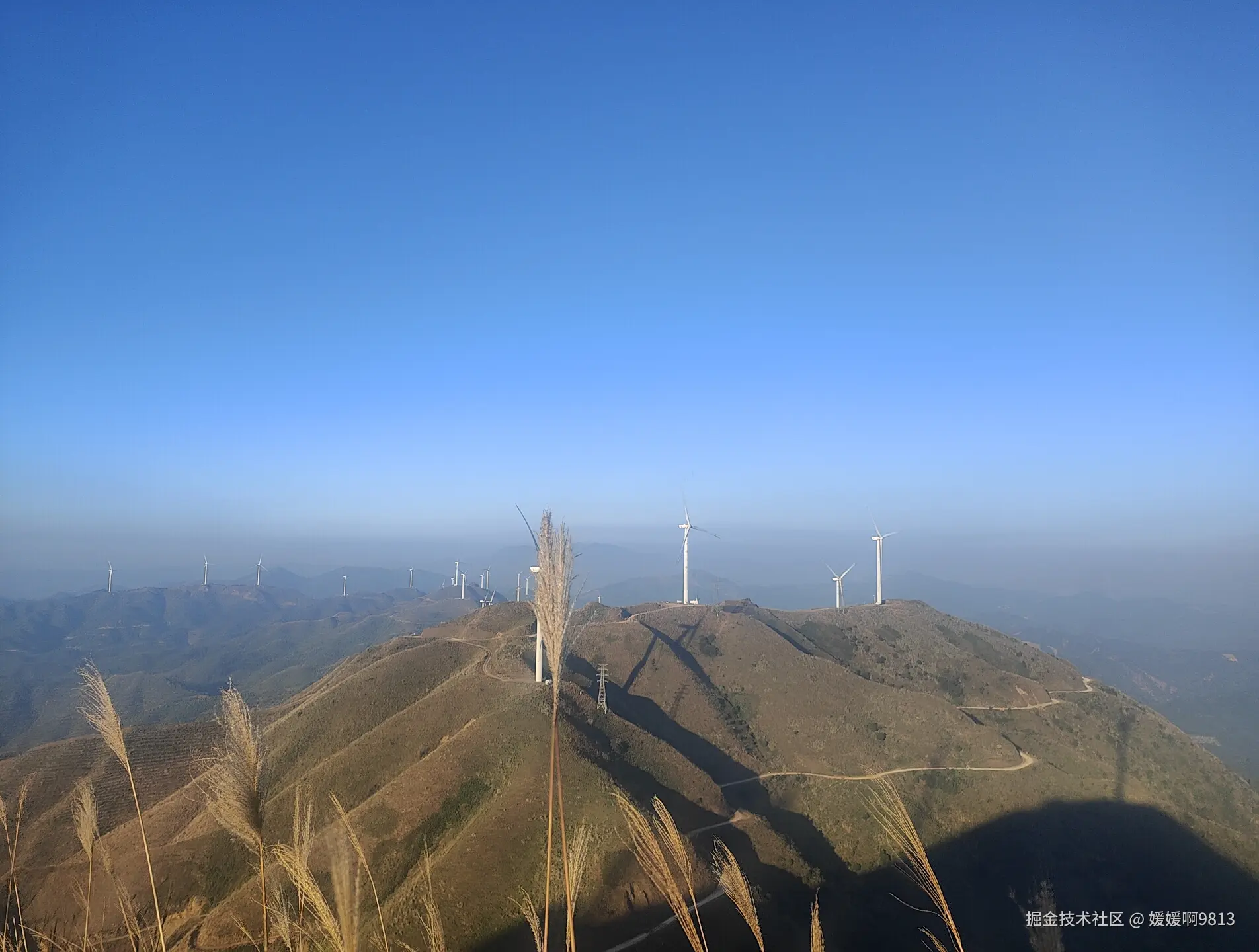 媛媛啊9813于2025-11-22 06:48发布的图片