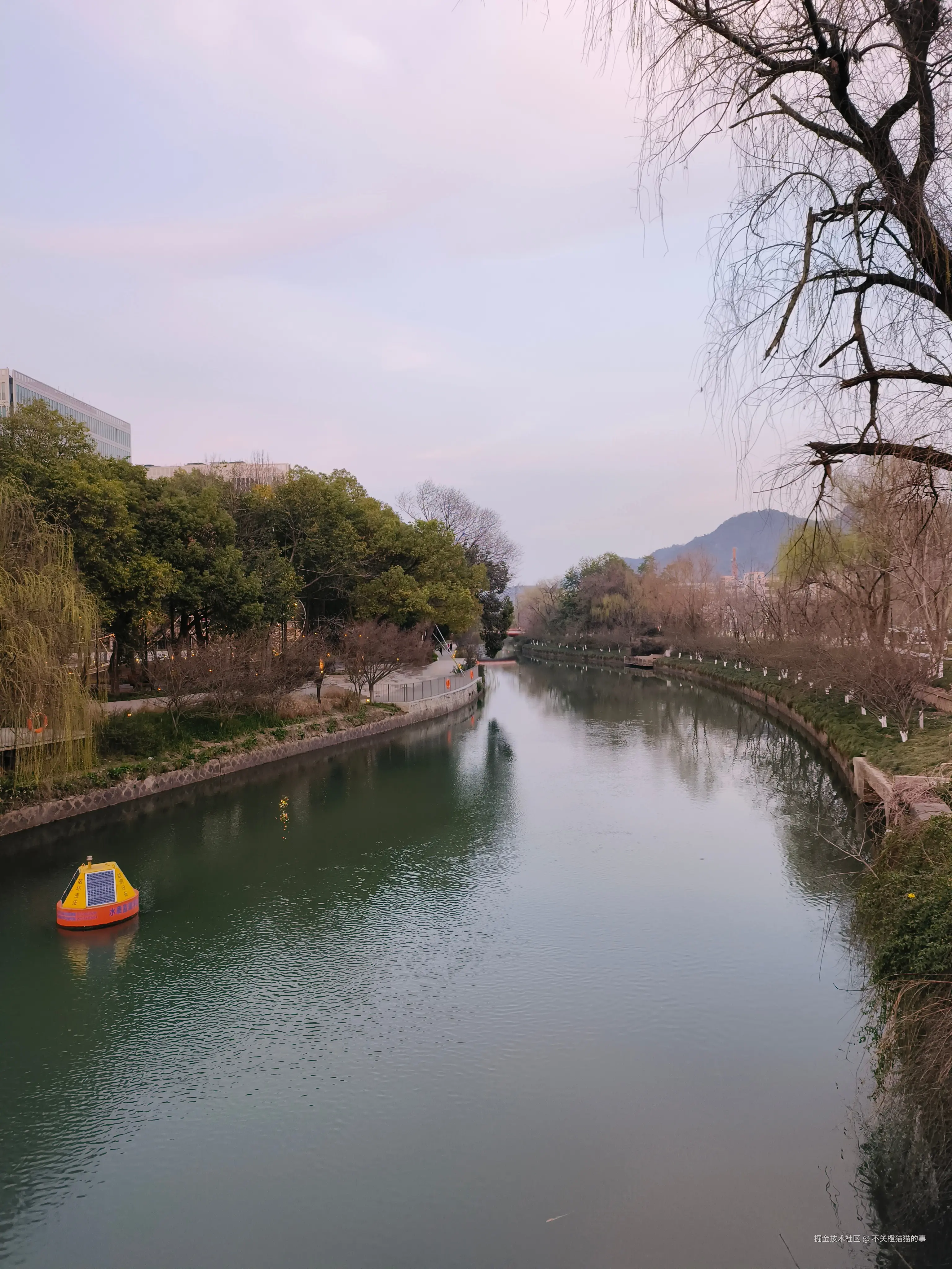 不关橙猫猫的事于2026-03-12 09:29发布的图片