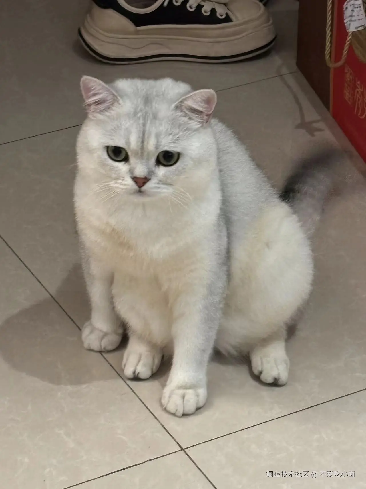 不爱吃小面于2024-09-09 20:10发布的图片