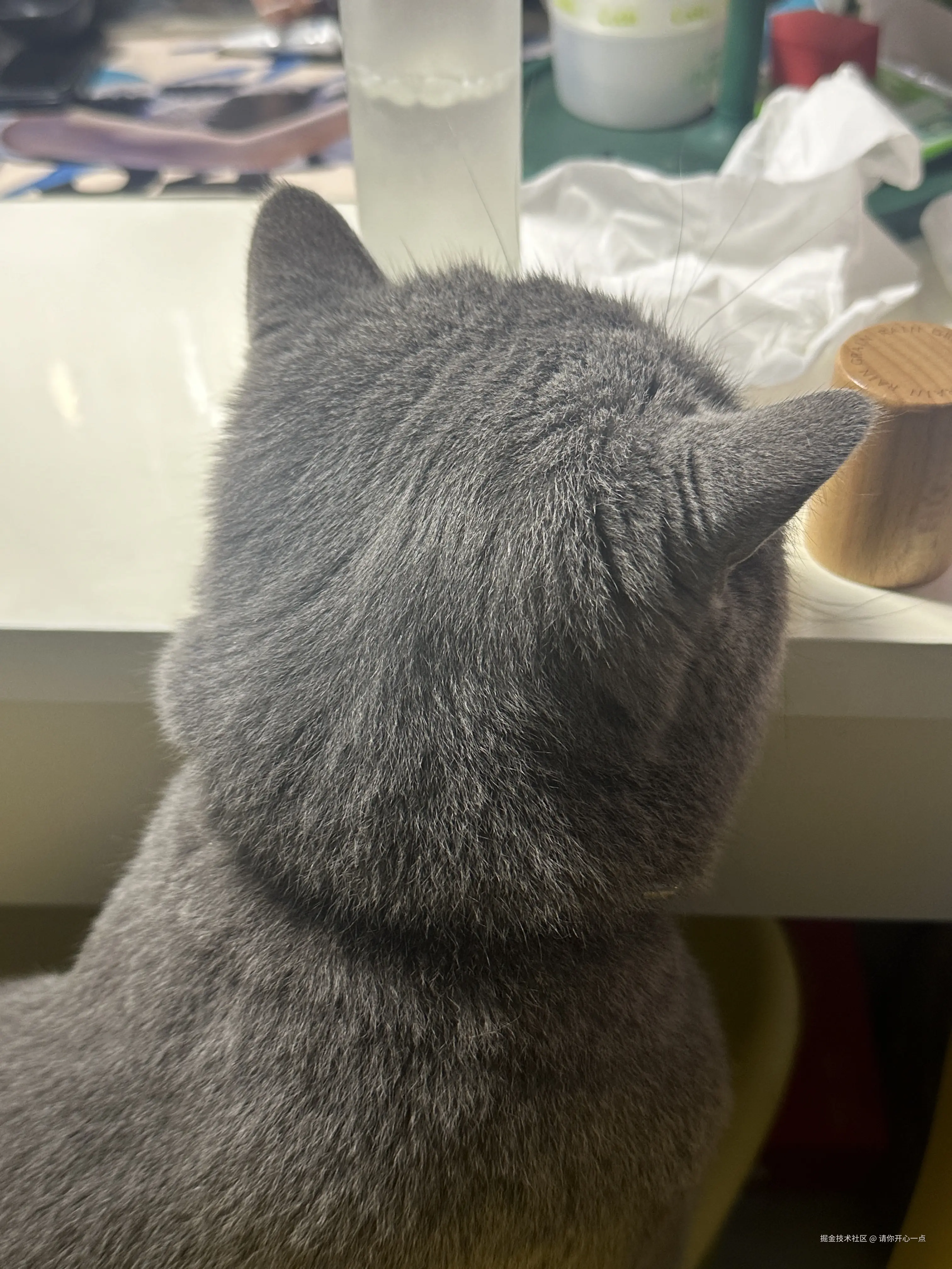 请你开心一点于2025-04-11 15:32发布的图片