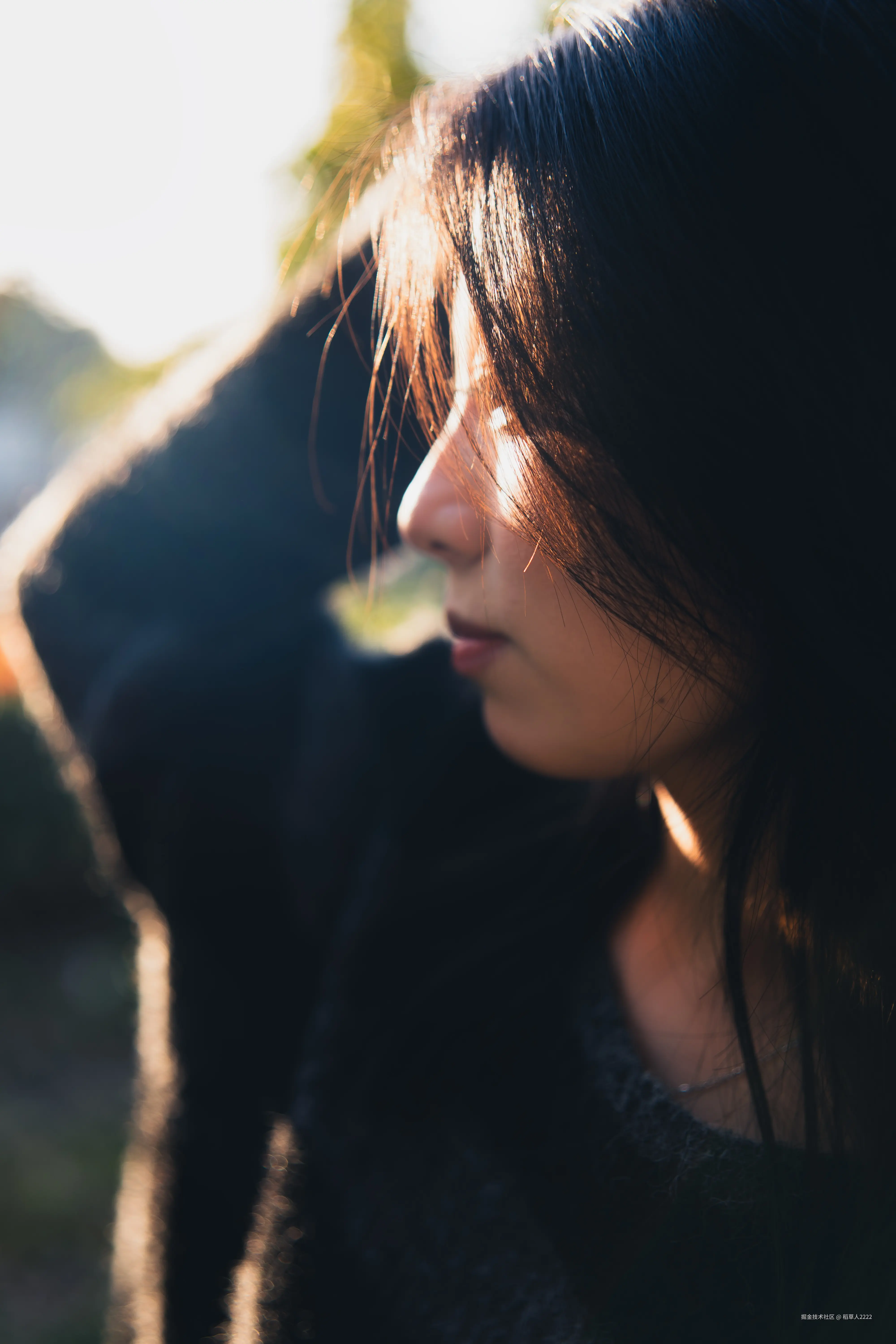 稻草人2222于2025-12-01 02:30发布的图片