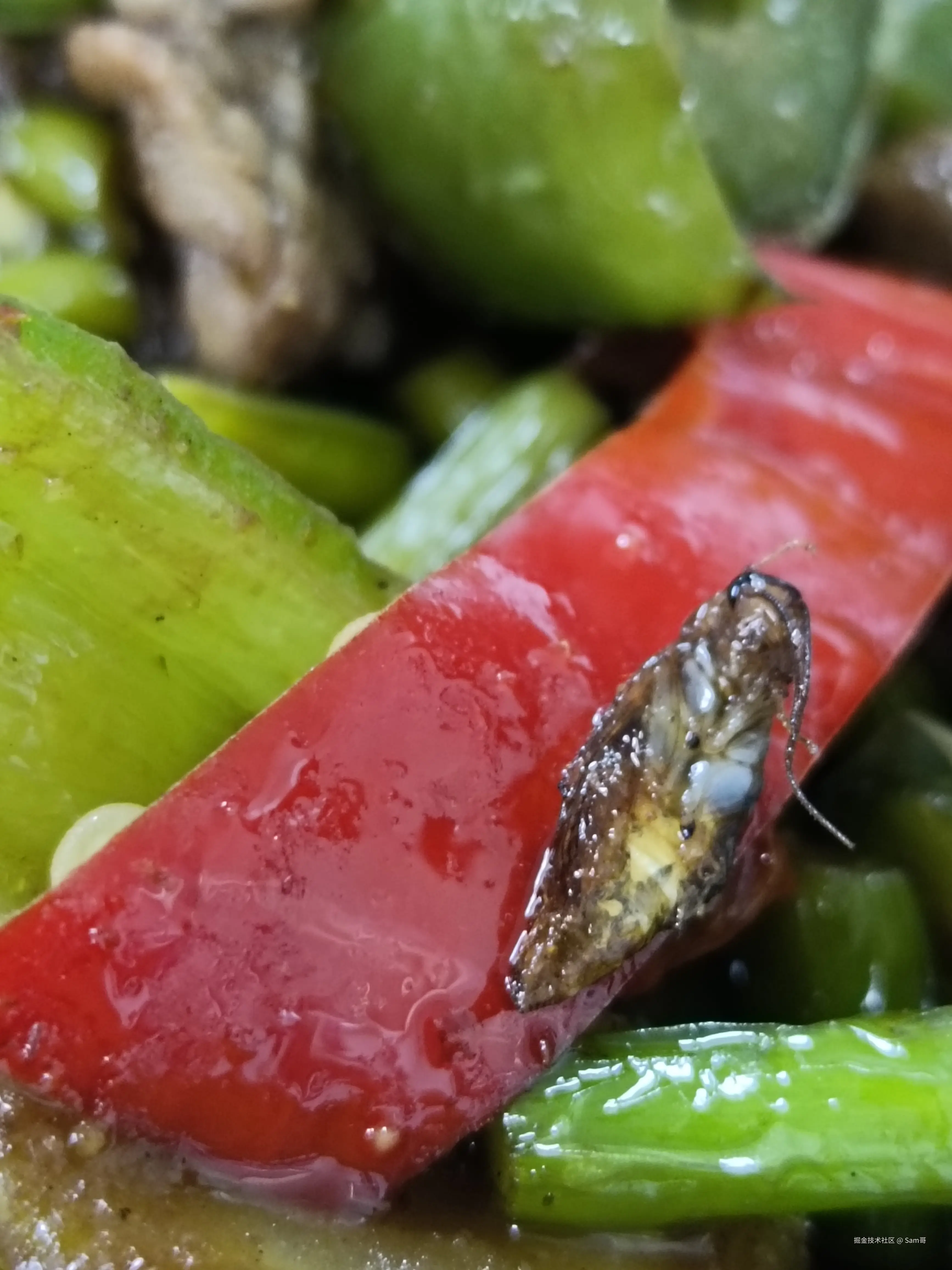 Sam哥于2024-11-28 09:16发布的图片