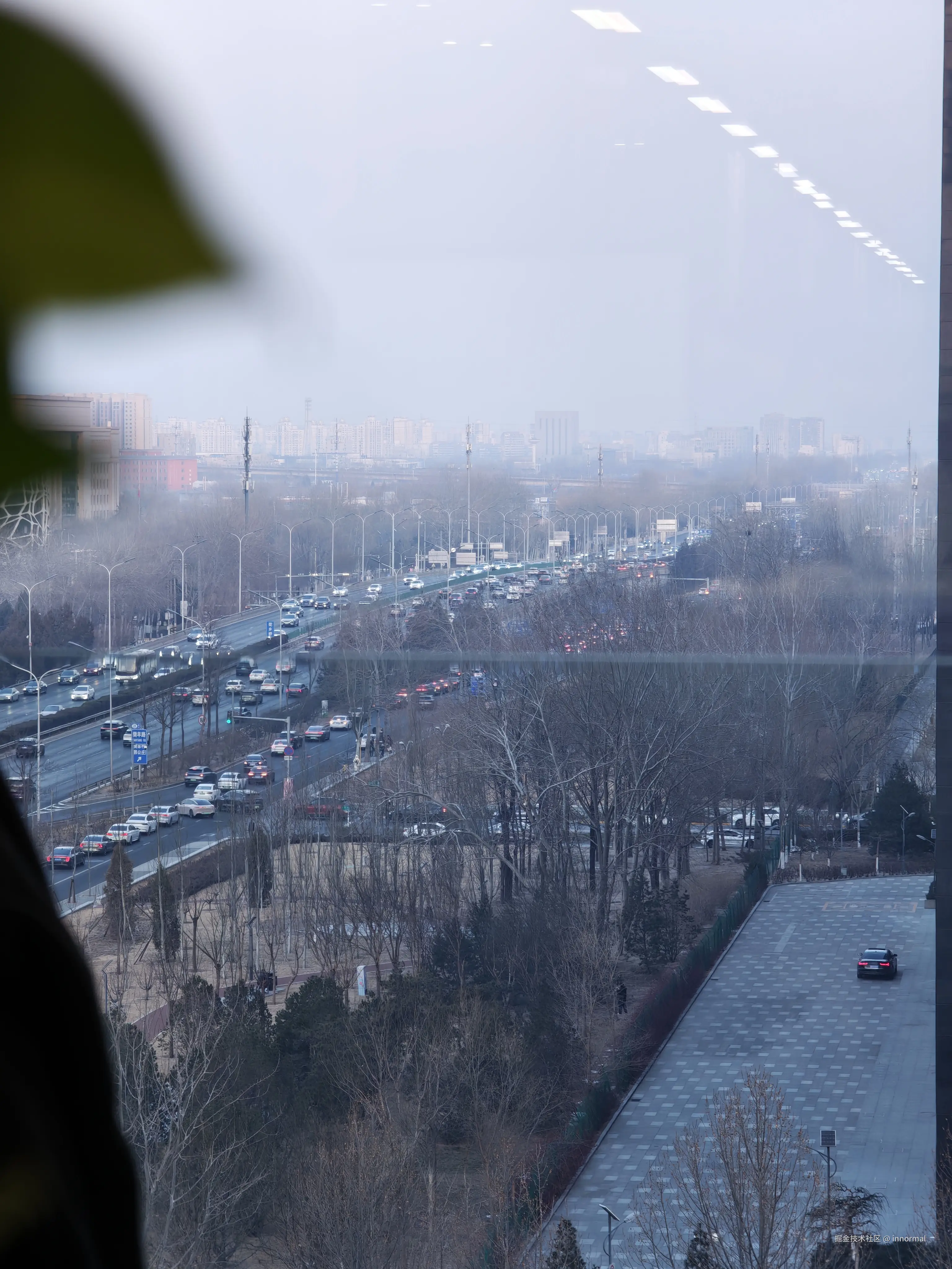 innormal于2026-02-12 08:45发布的图片