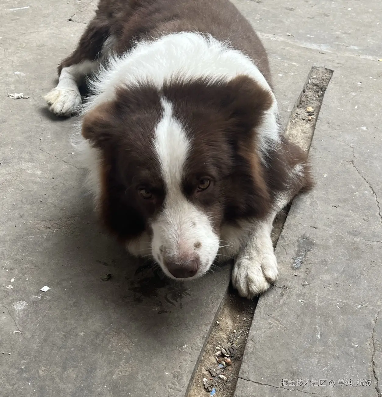 单纯_稀饭于2025-10-29 13:10发布的图片