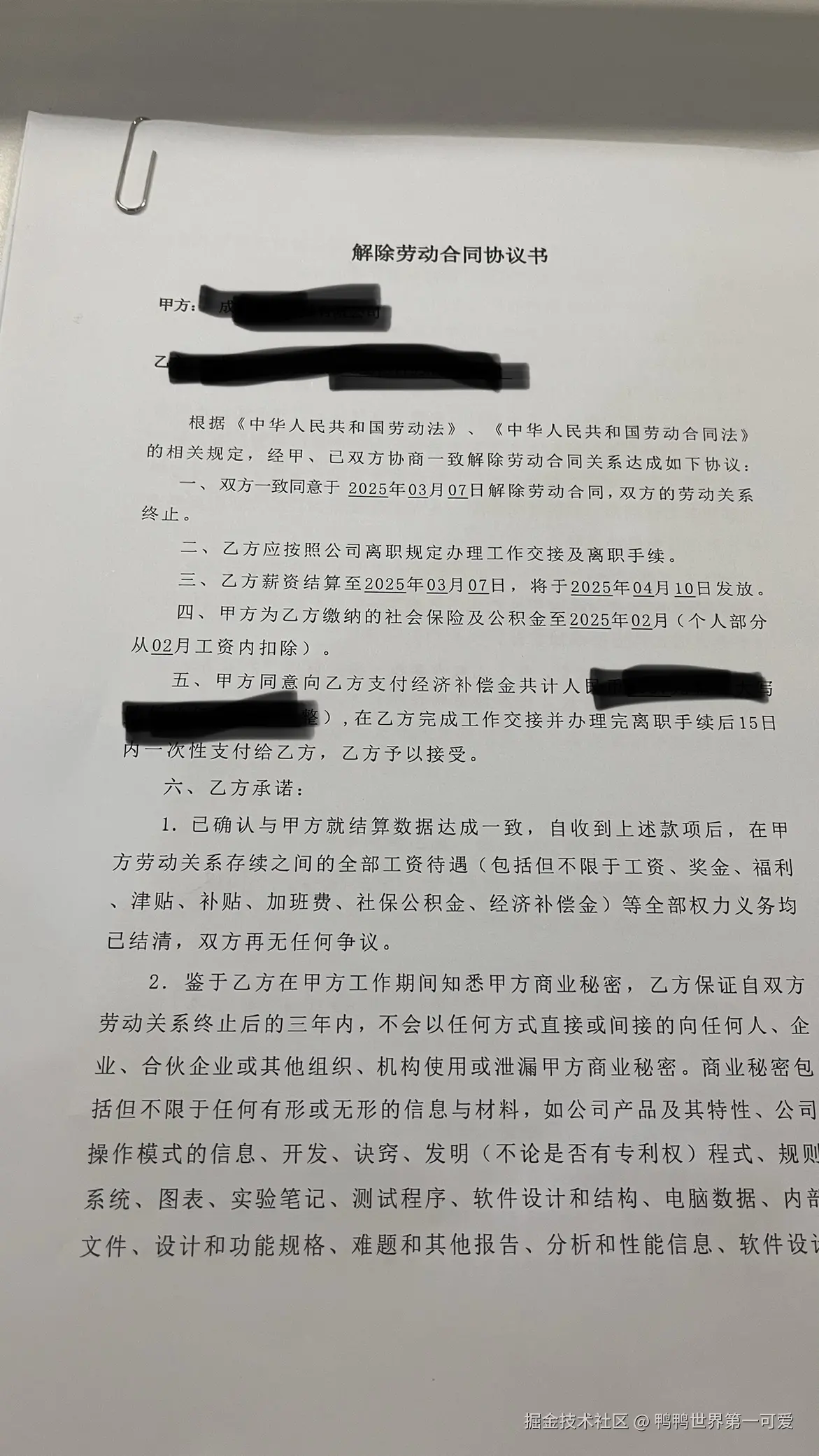 鸭鸭世界第一可爱于2025-03-04 06:27发布的图片