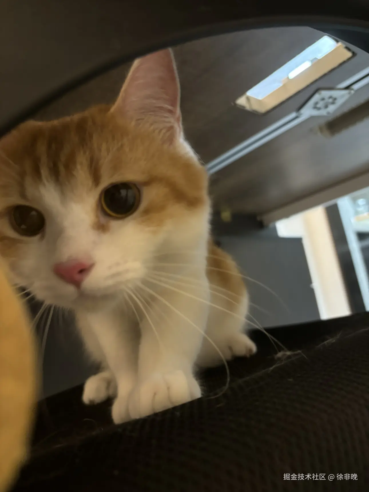 徐非晚于2024-08-15 12:16发布的图片