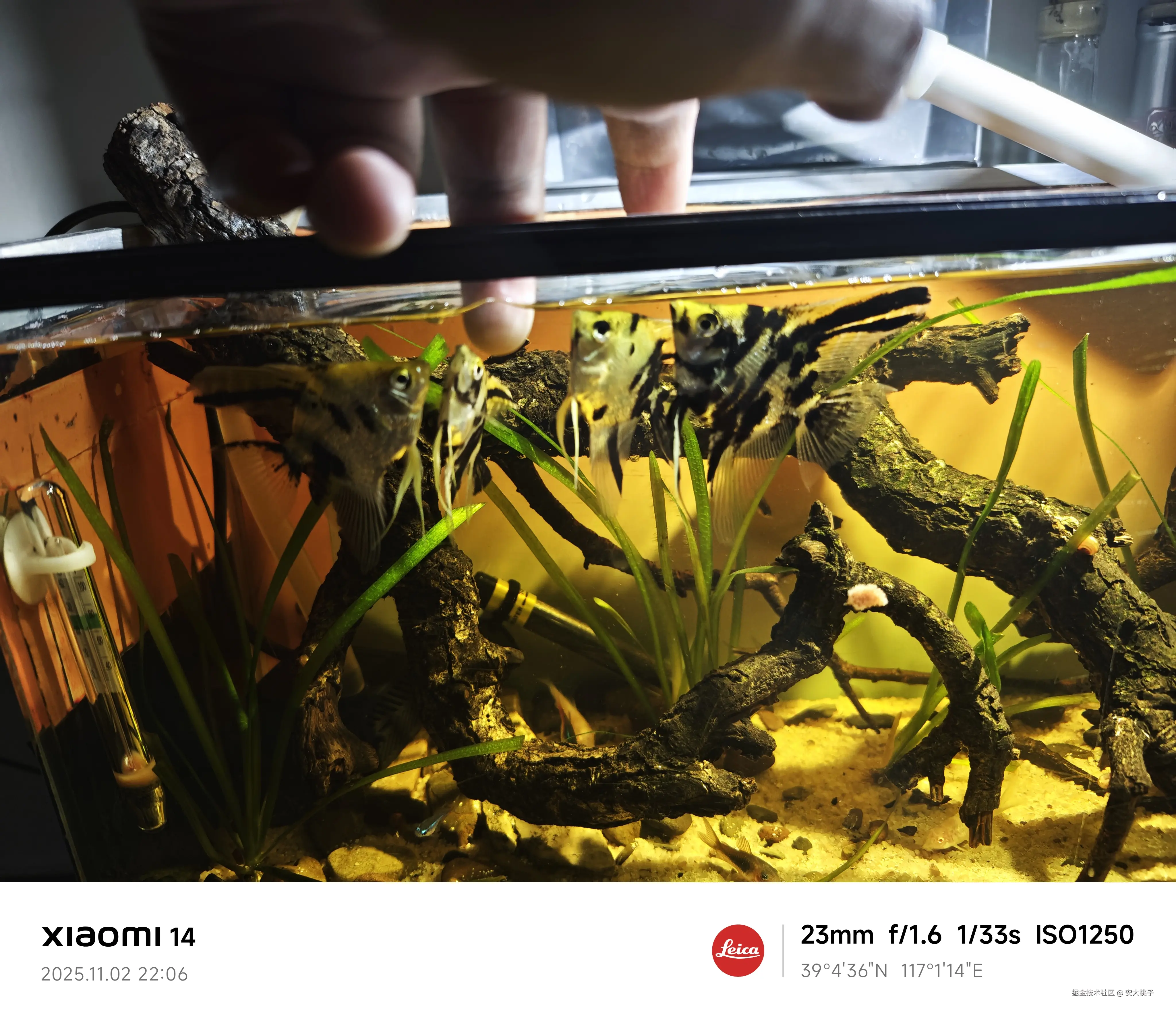 安大桃子于2025-11-03 16:41发布的图片