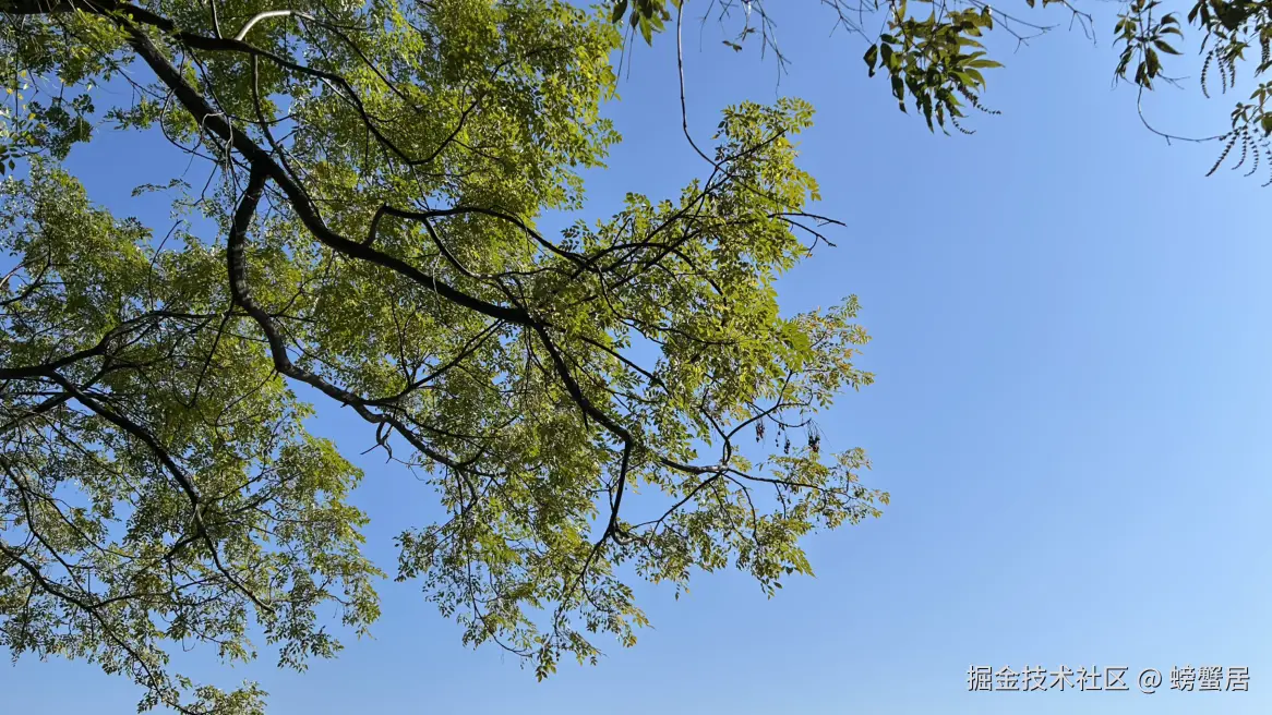 螃蟹居于2025-12-03 13:41发布的图片