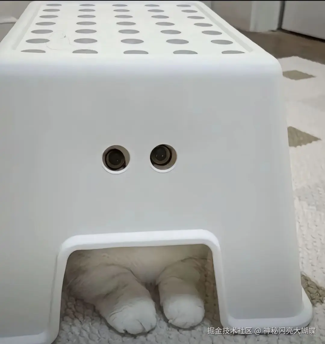 神秘闪亮大蝴蝶于2026-03-16 17:24发布的图片