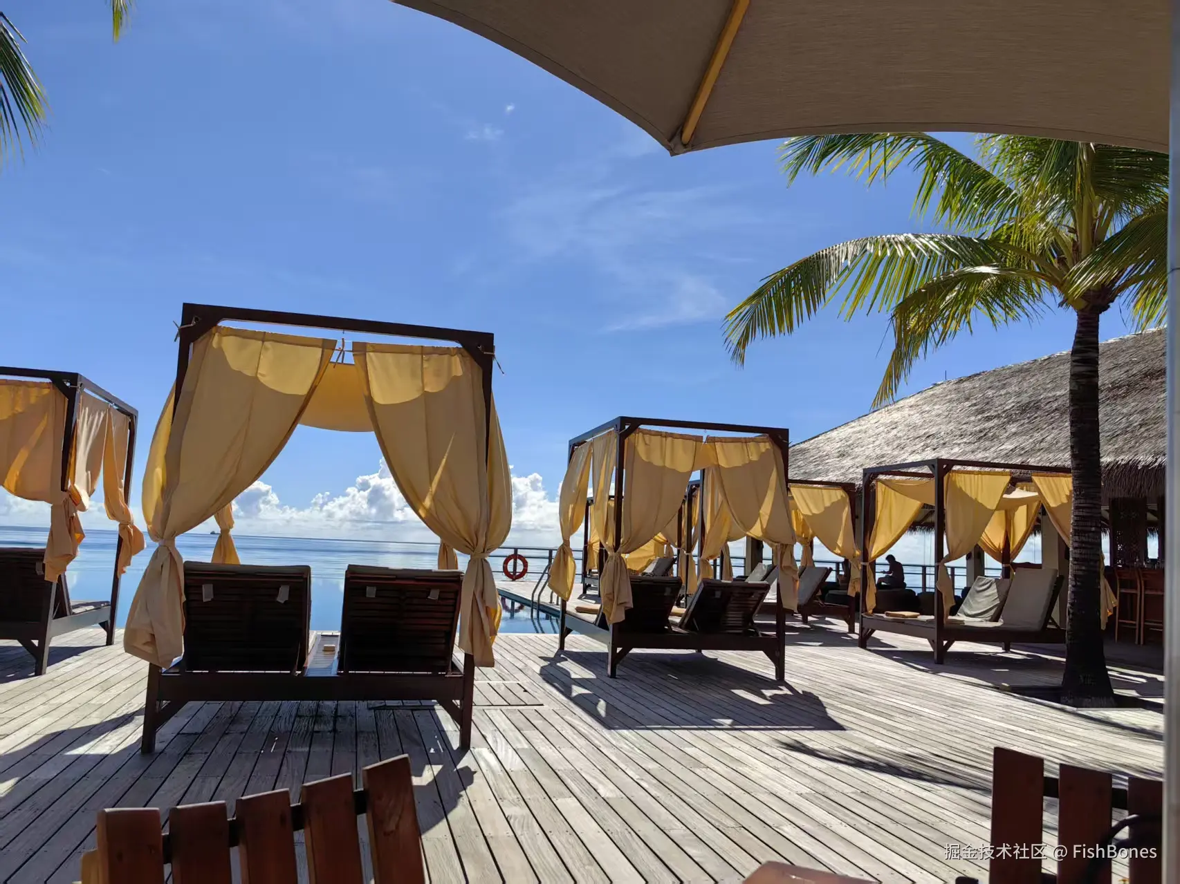 FishBones于2025-10-09 07:46发布的图片