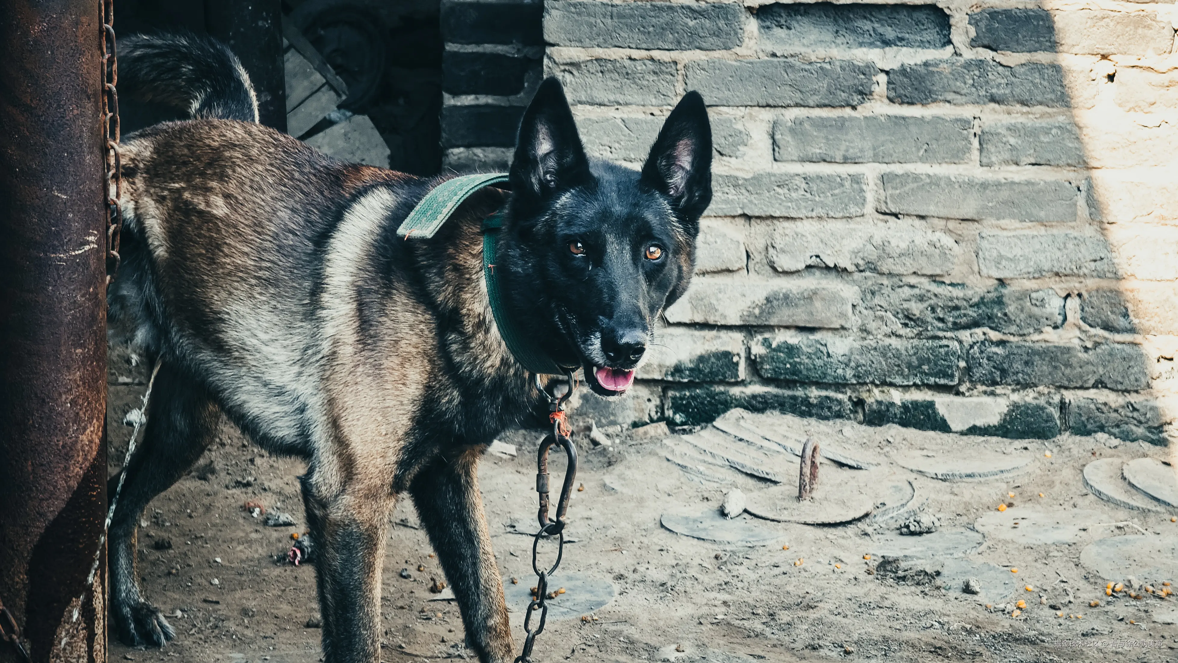 吾与徐公孰美耶于2024-08-16 14:04发布的图片