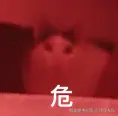 汪汪大队于2025-11-25 11:23发布的图片