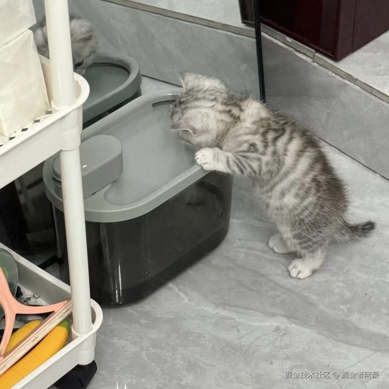 掘金者阿豪于2026-01-28 12:48发布的图片