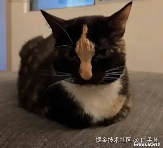 白手套于2025-07-30 20:01发布的图片