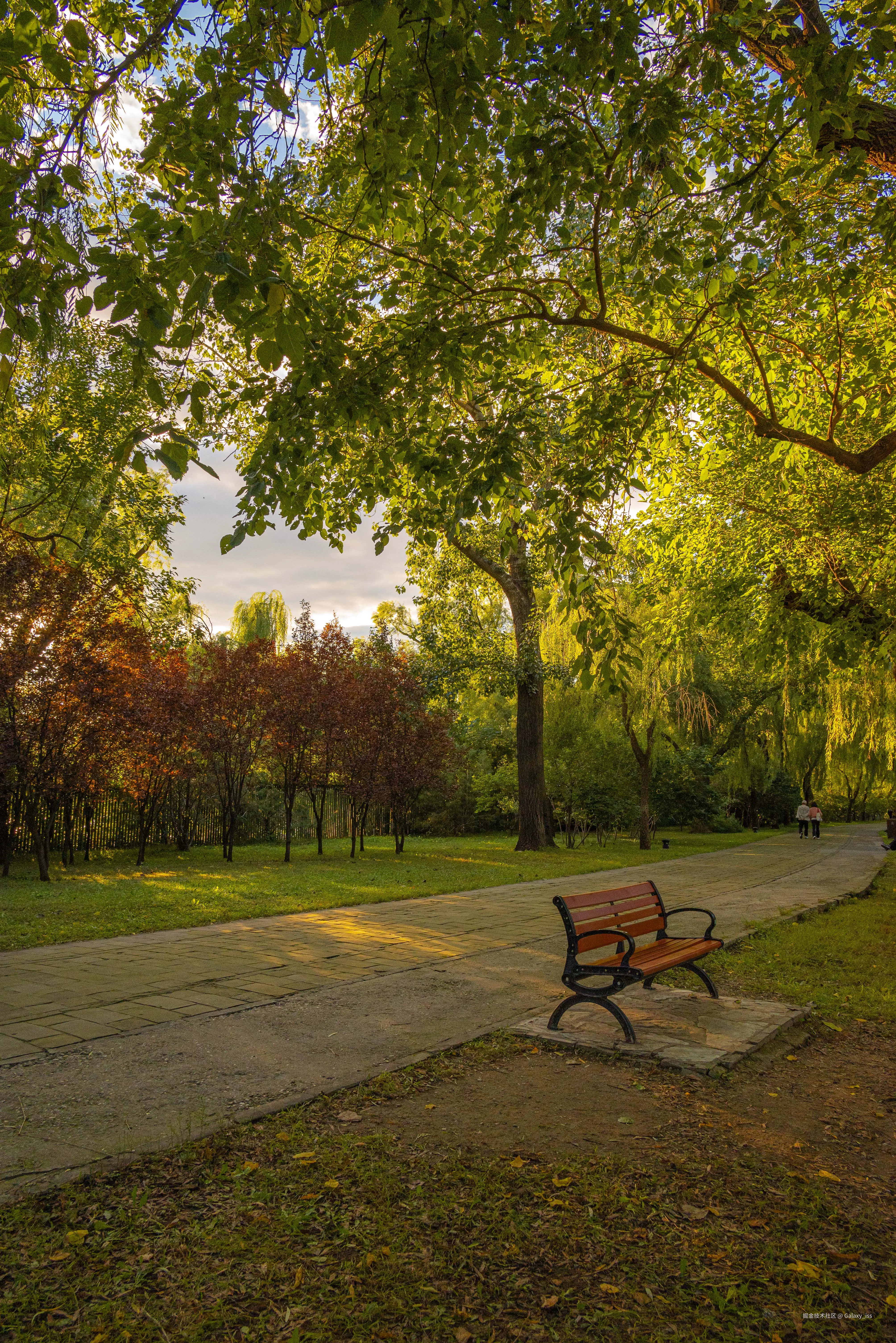 Galaxy_iss于2024-10-30 04:34发布的图片