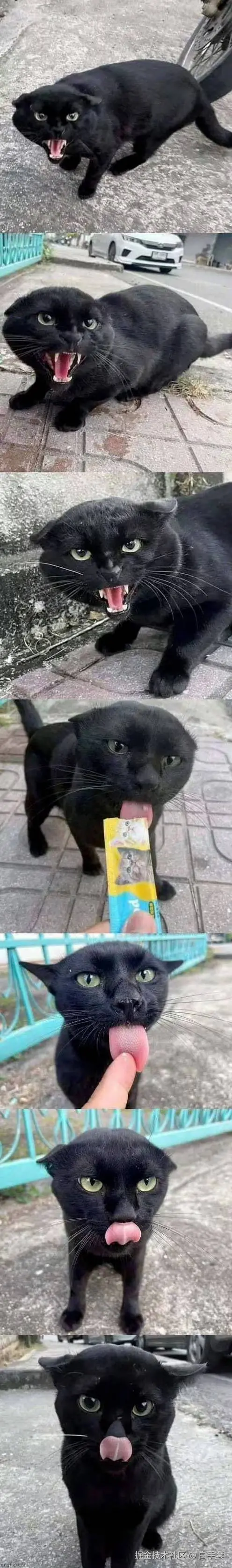 白手套于2025-12-15 08:52发布的图片