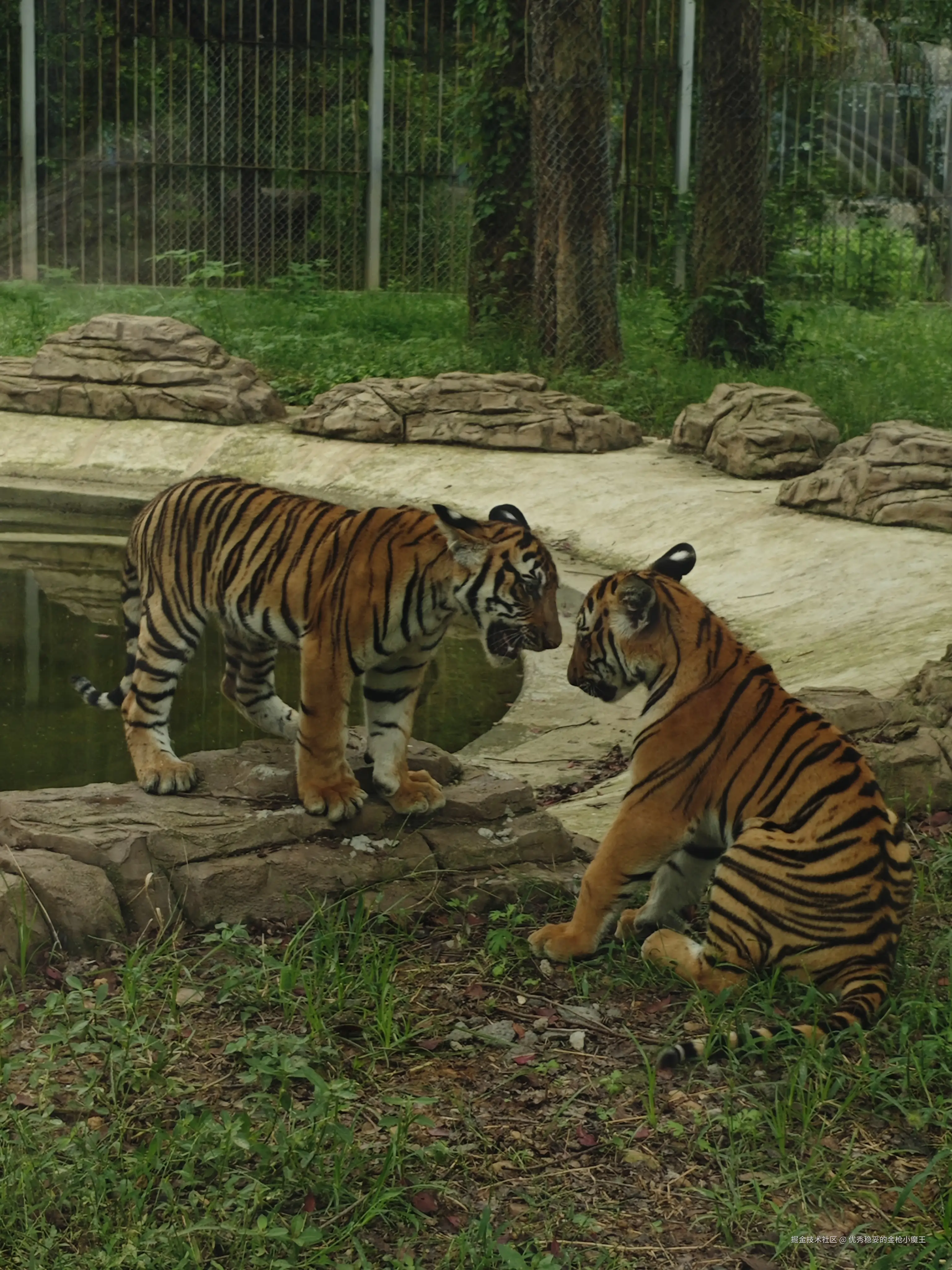 优秀稳妥的金枪小魔王于2025-09-23 09:57发布的图片