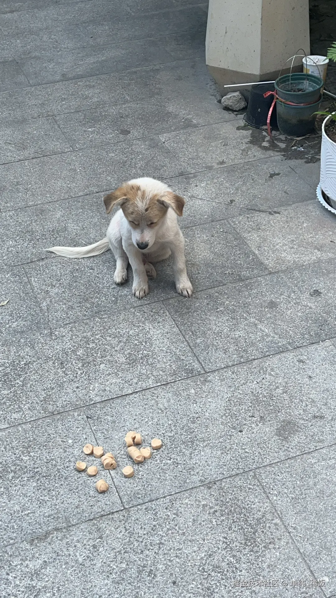 单纯_稀饭于2025-09-25 13:38发布的图片