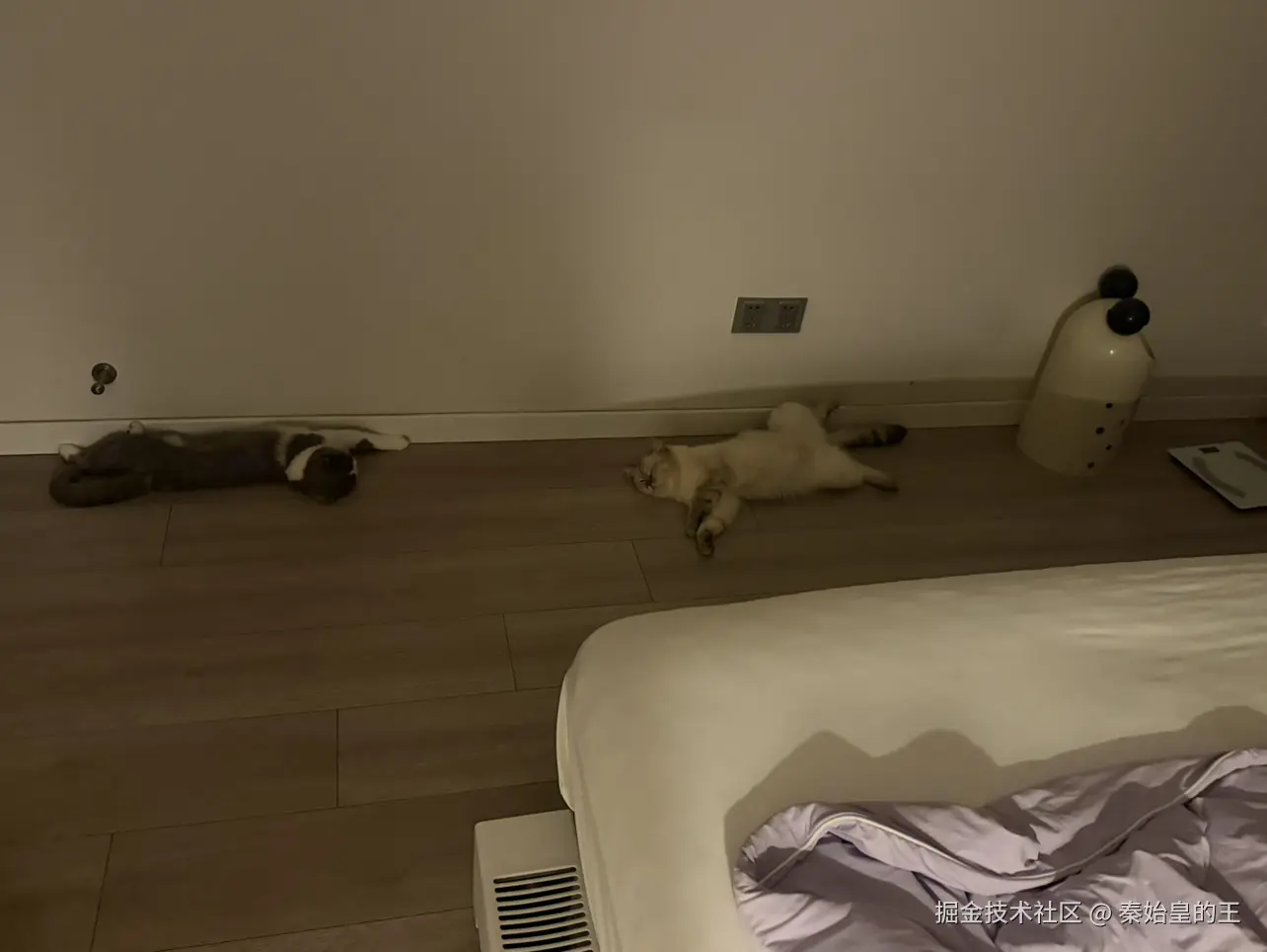 秦始皇的王于2026-08-18 00:44发布的图片