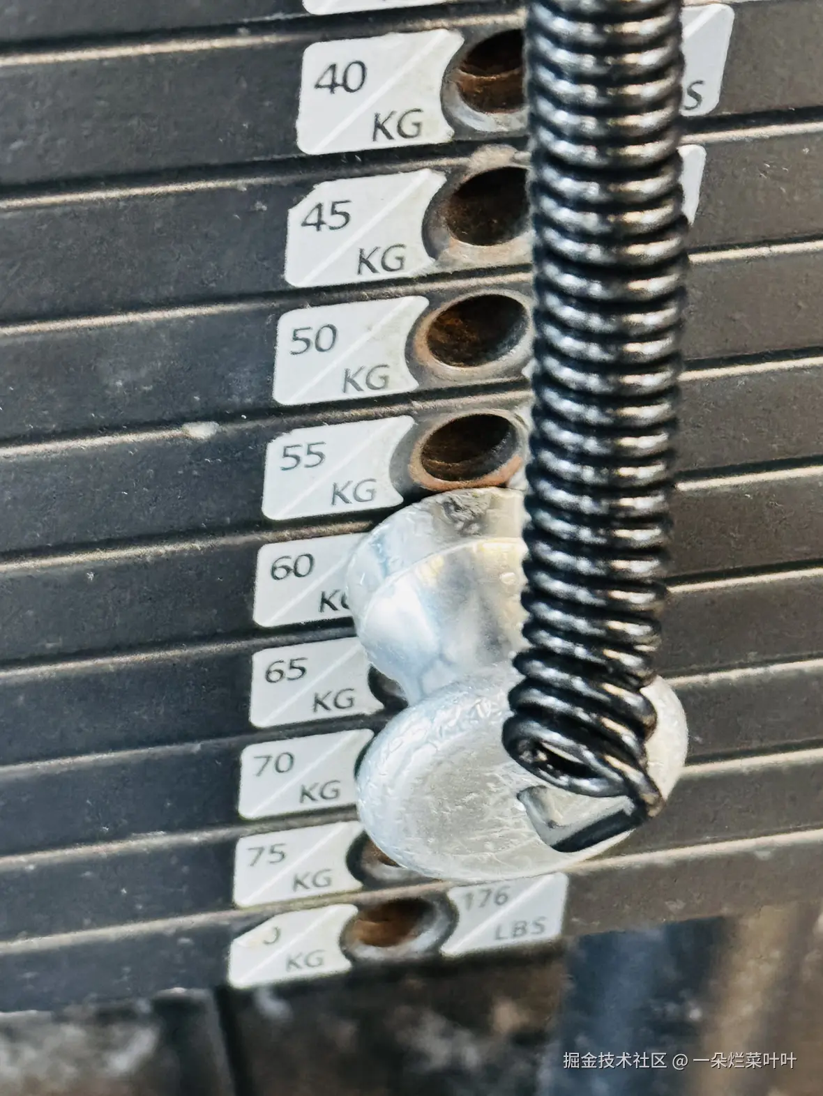 一朵烂菜叶叶于2026-03-16 12:29发布的图片