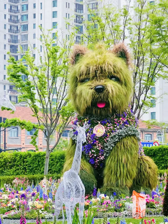 LALALA于2026-04-15 15:55发布的图片