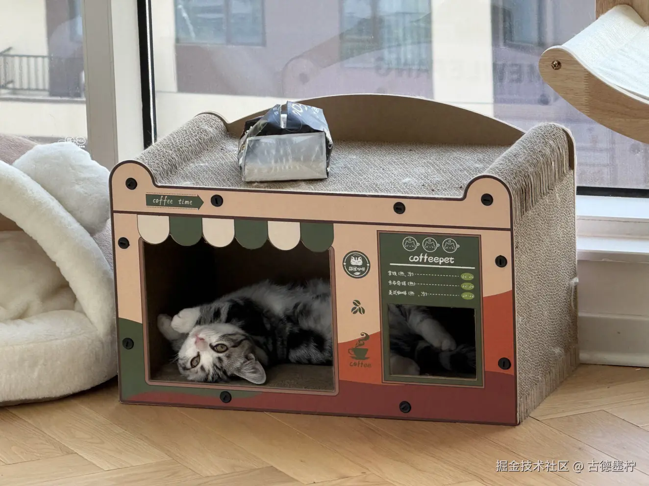 古德墨柠于2026-02-12 16:24发布的图片