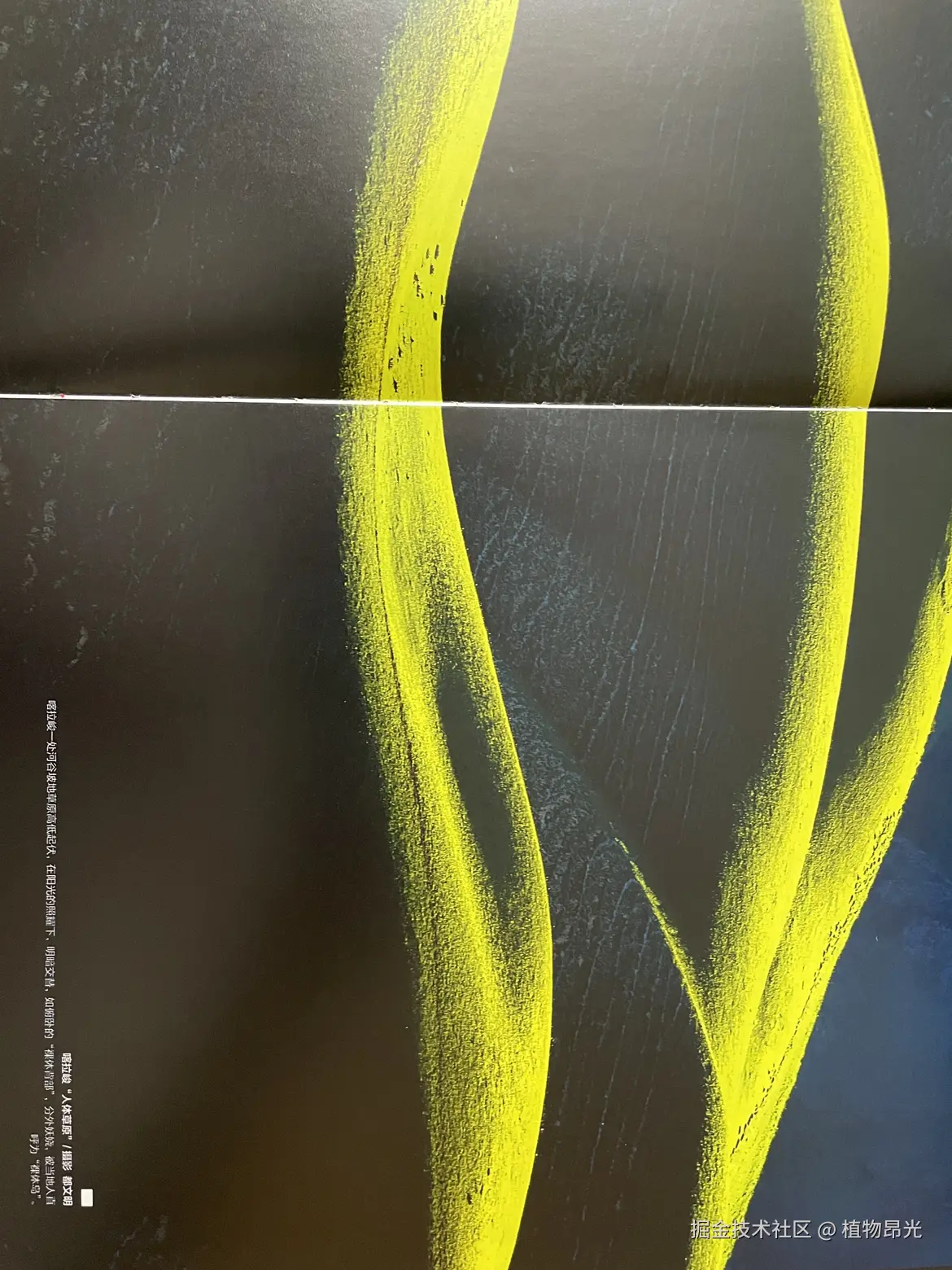 植物昂光于2026-03-18 21:15发布的图片