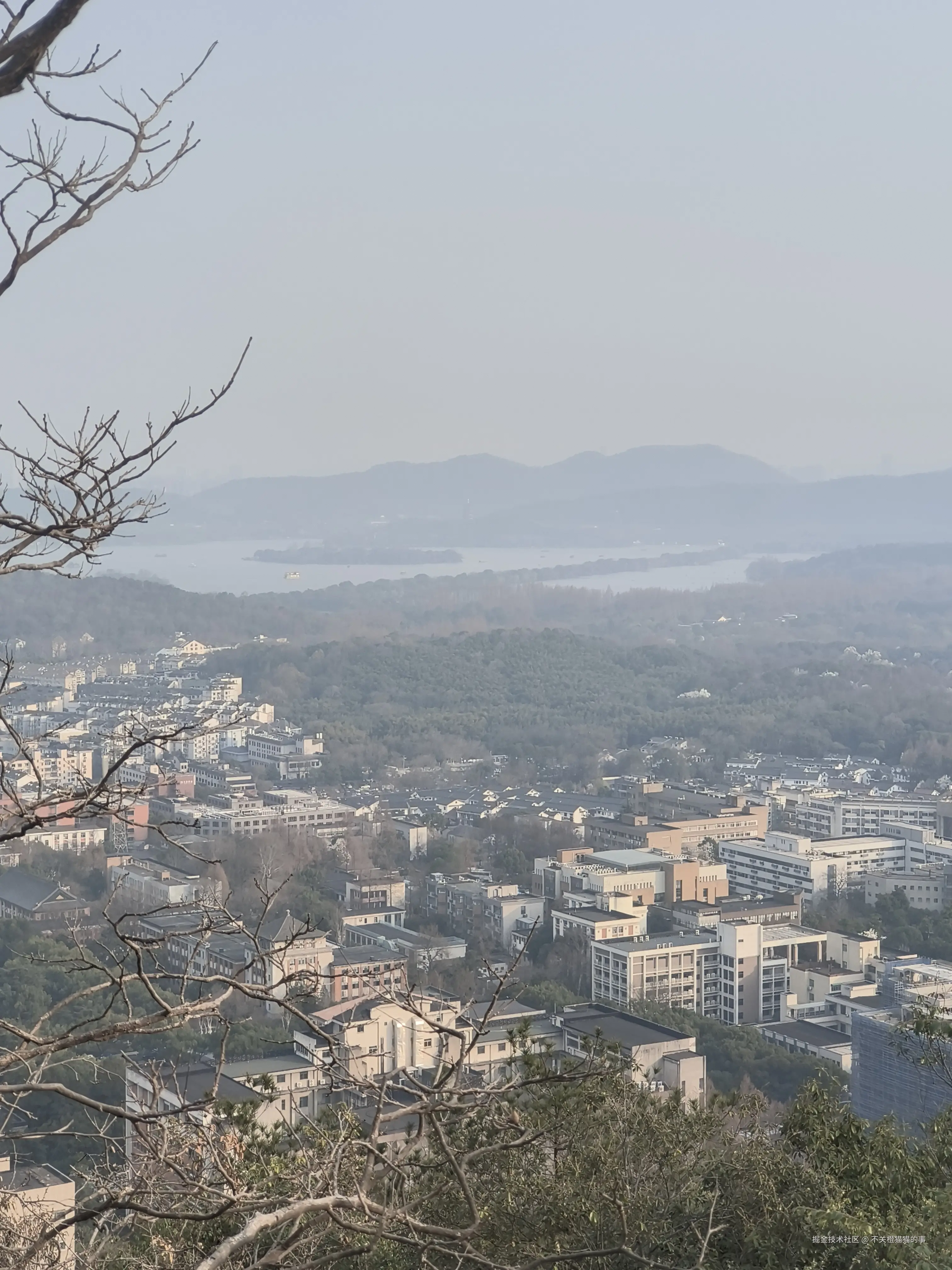 不关橙猫猫的事于2026-03-12 09:29发布的图片