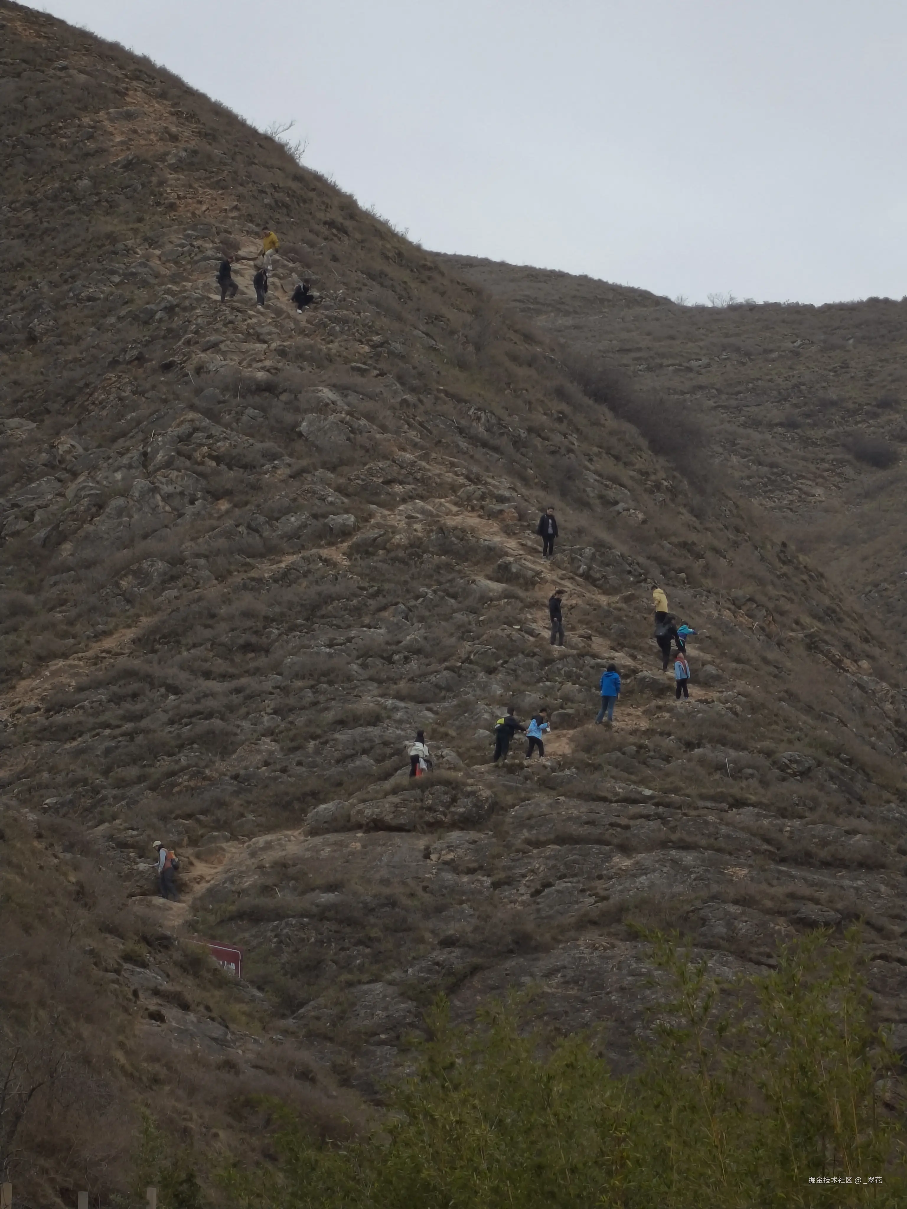 _翠花于2026-03-21 20:14发布的图片