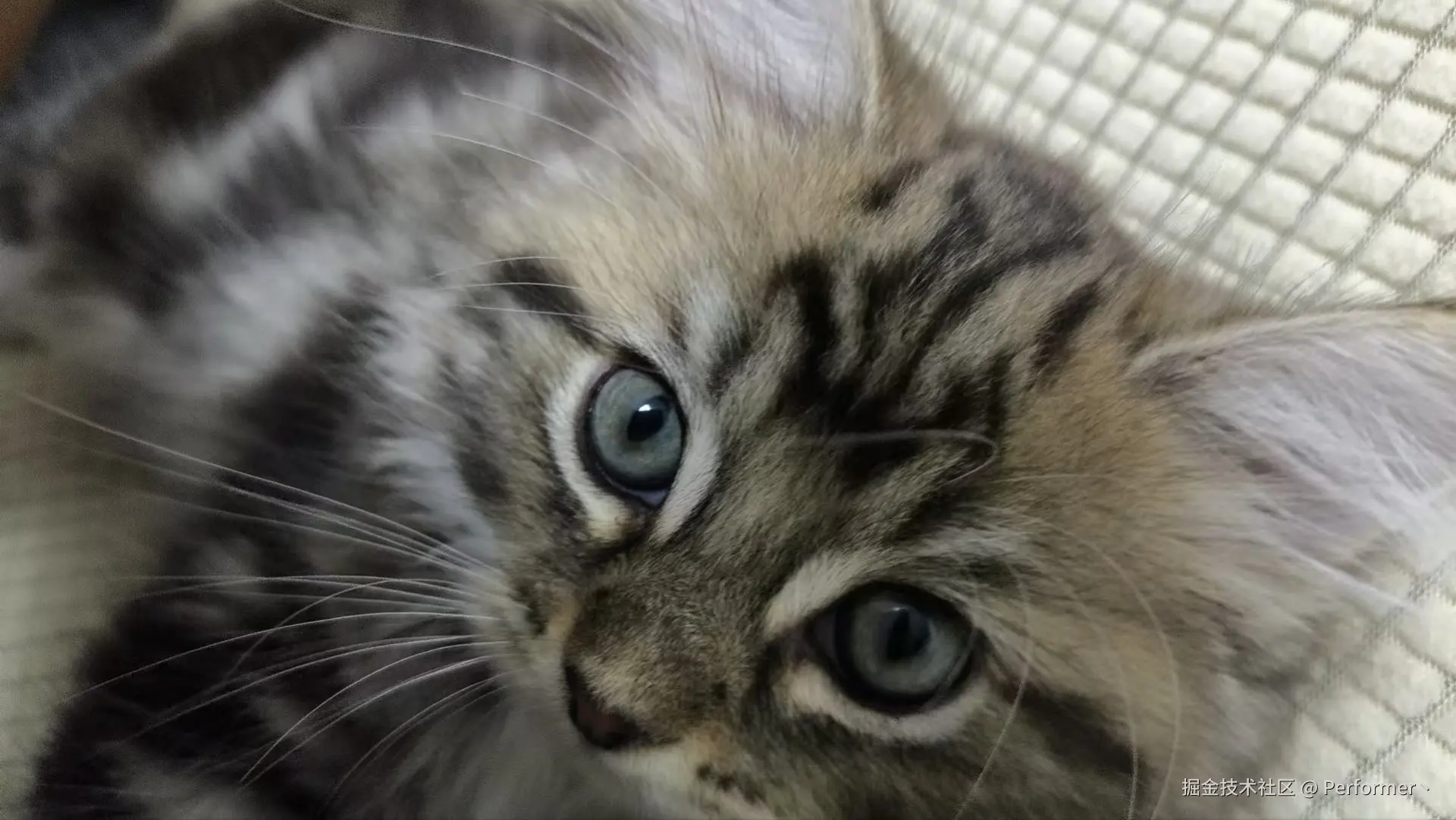 Performer丶于2024-09-11 17:14发布的图片