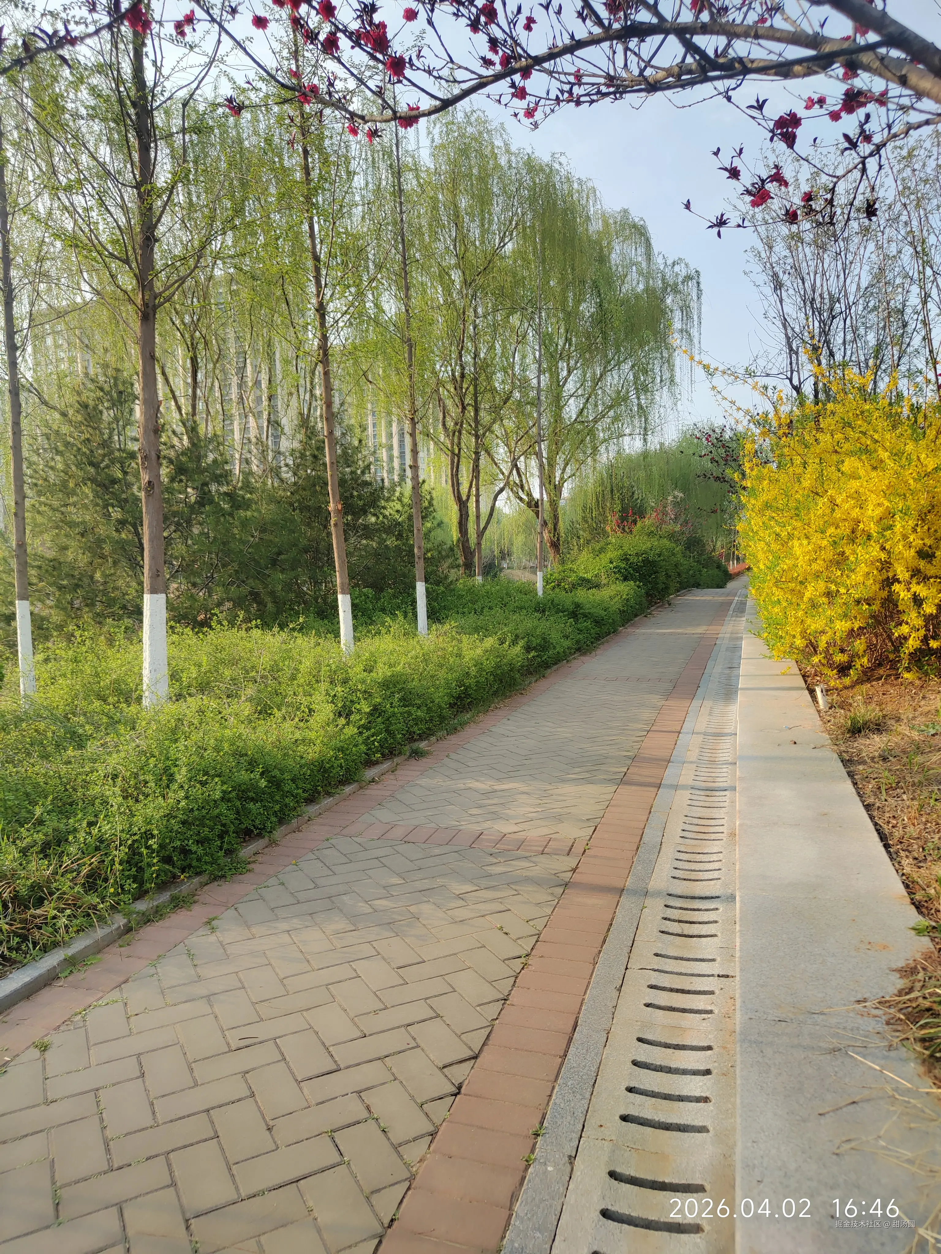 甜汤圆于2026-04-02 16:47发布的图片